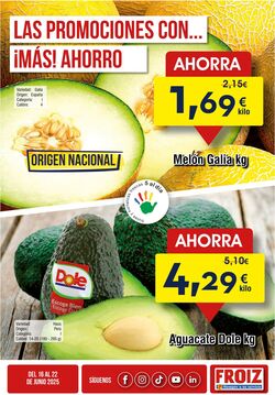 Folleto Froiz 16.06.2025 - 22.06.2025