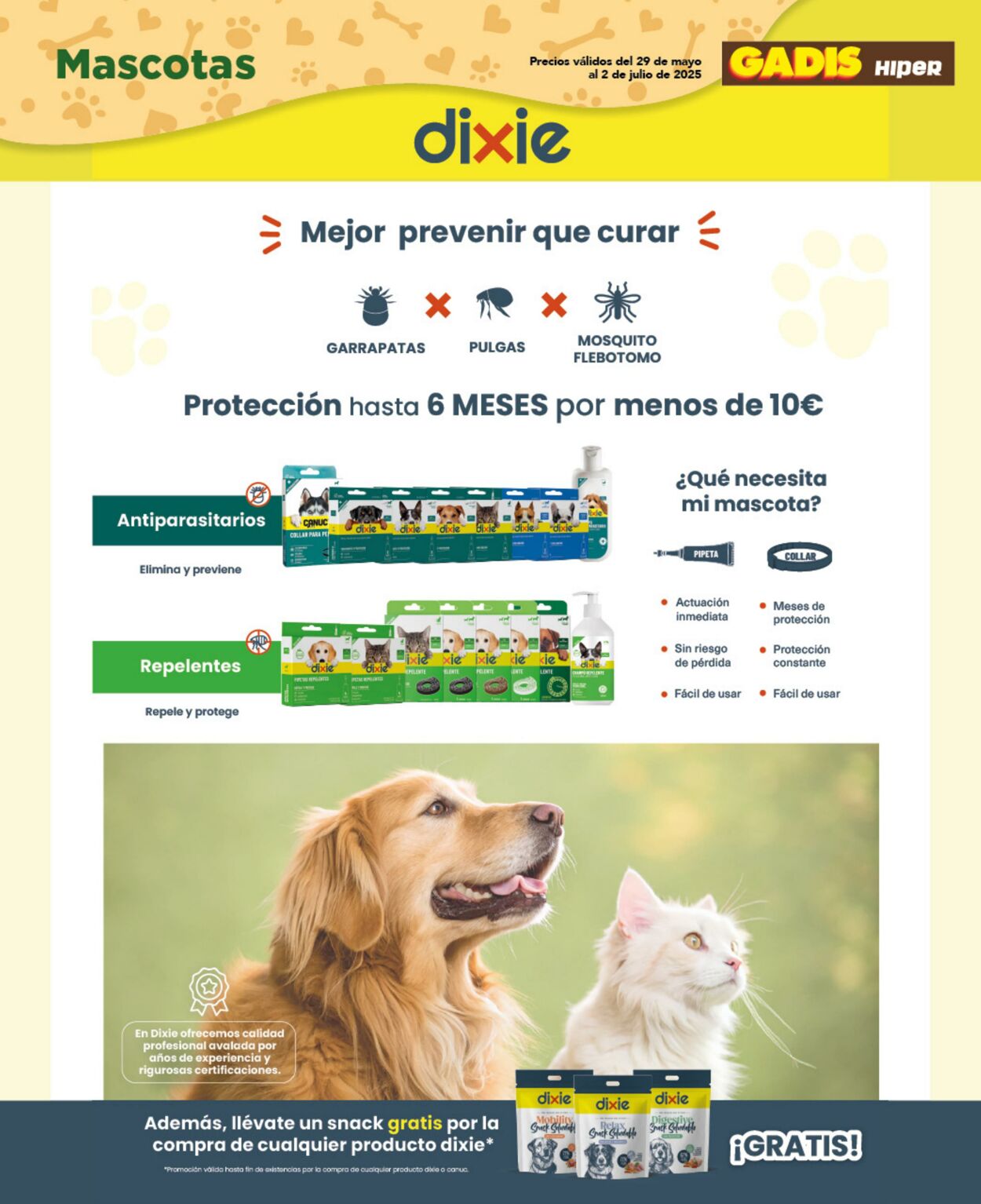 Folleto Gadis 29.05.2025 - 02.06.2025
