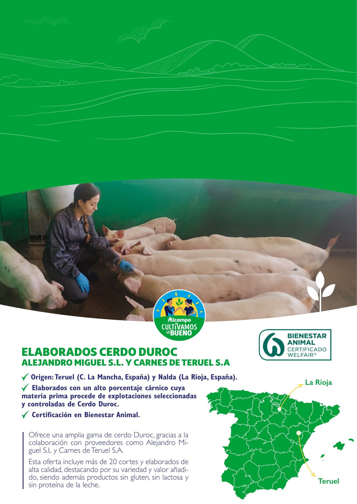 Folleto Alcampo 23.04.2024 - 31.12.2025