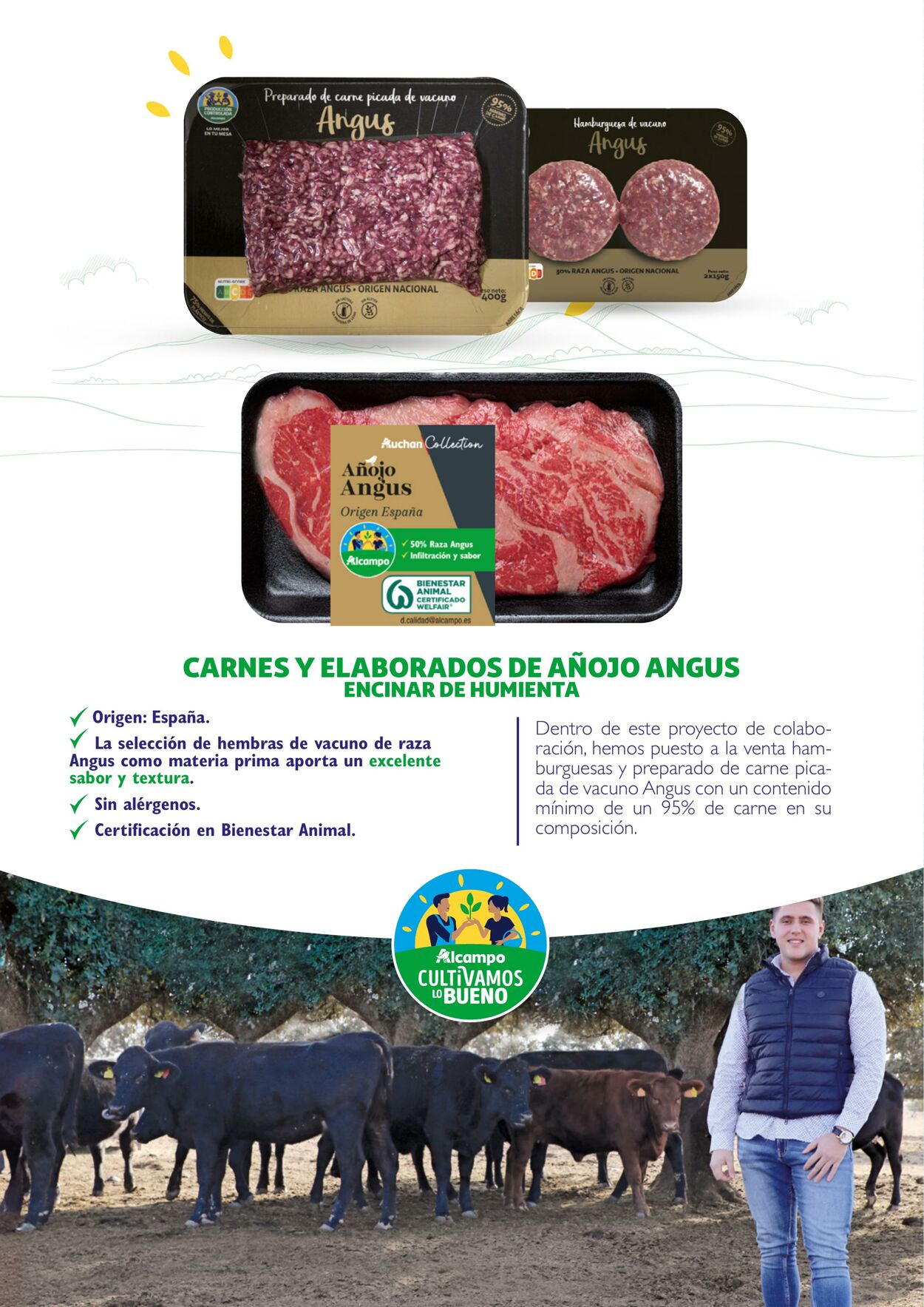 Folleto Alcampo 23.04.2024 - 31.12.2025