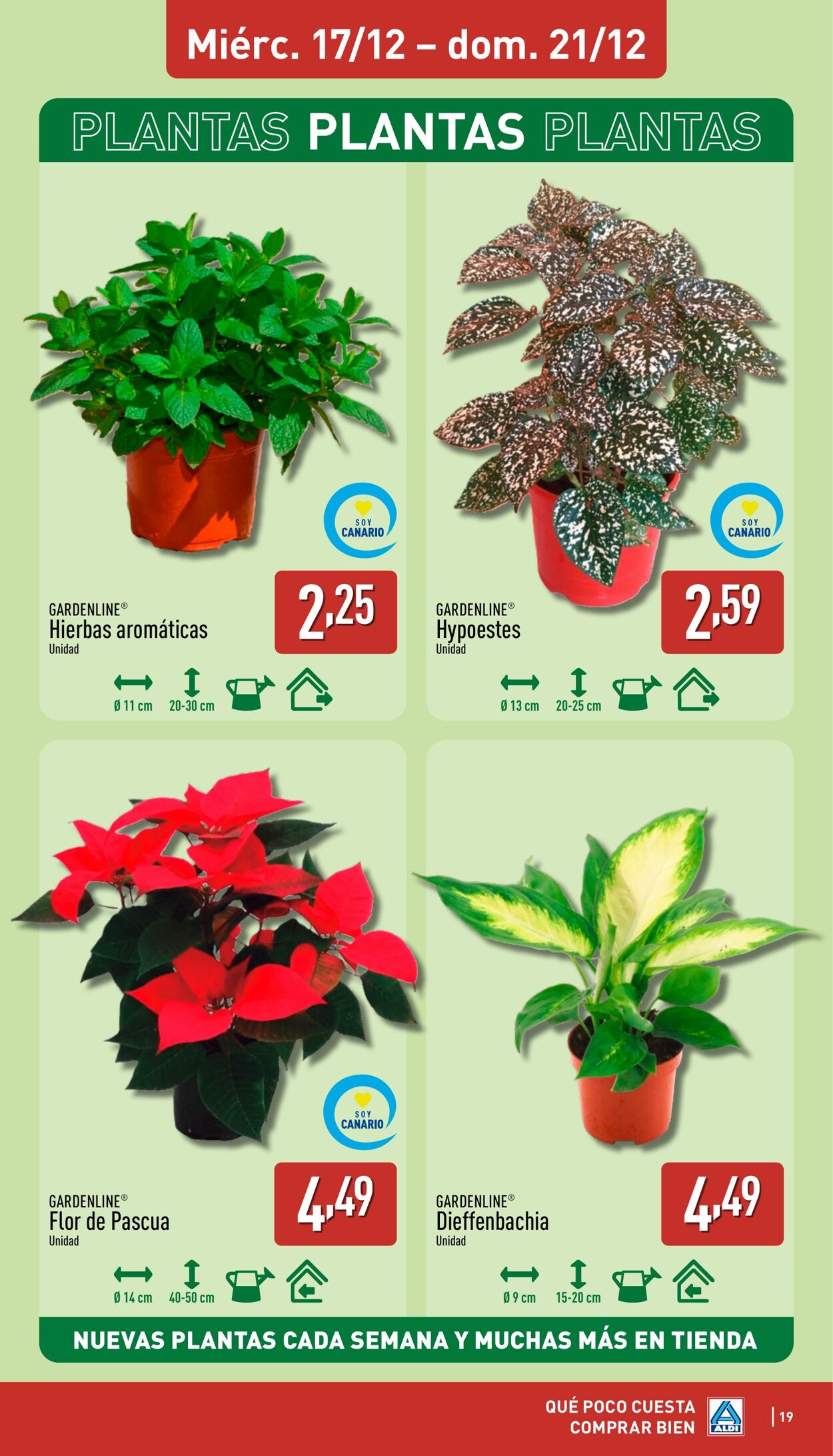 Folleto Aldi 15.12.2025 - 21.12.2025