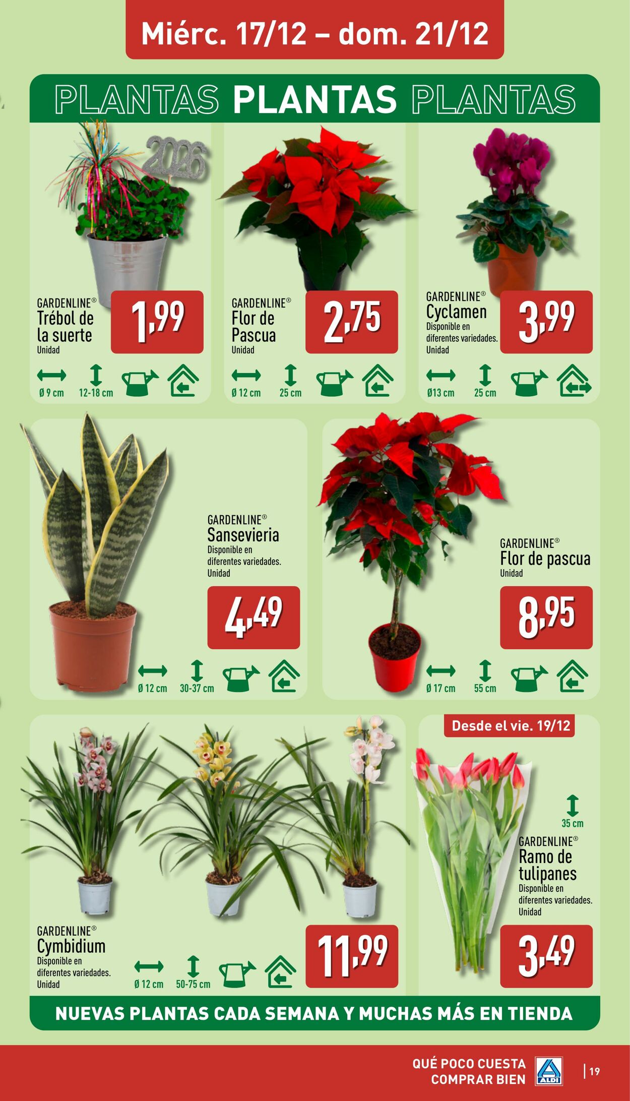 Folleto Aldi 15.12.2025 - 21.12.2025