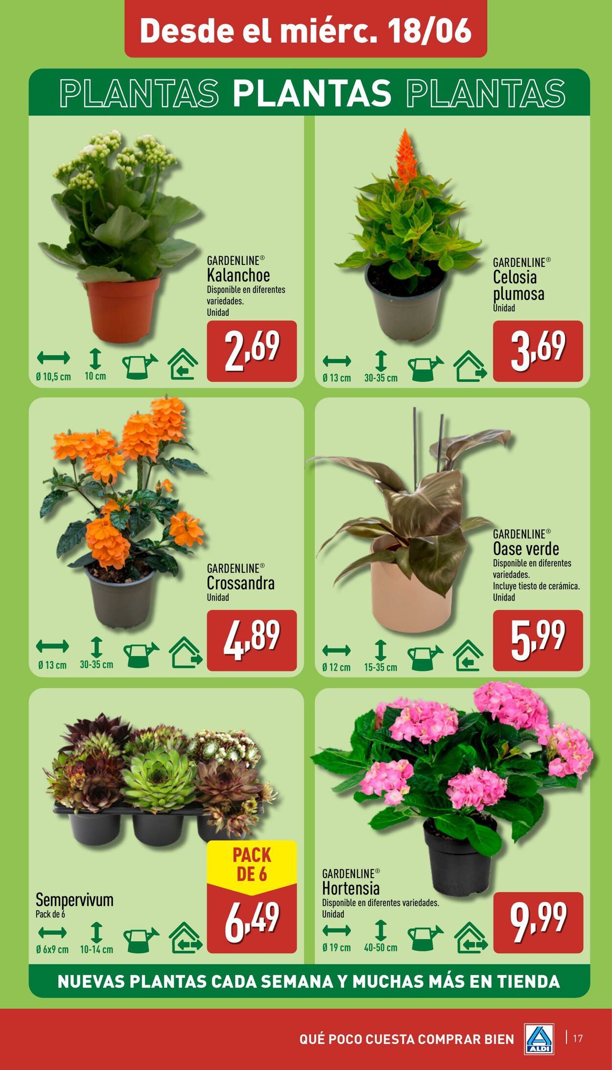 Folleto Aldi 16.06.2025 - 22.06.2025