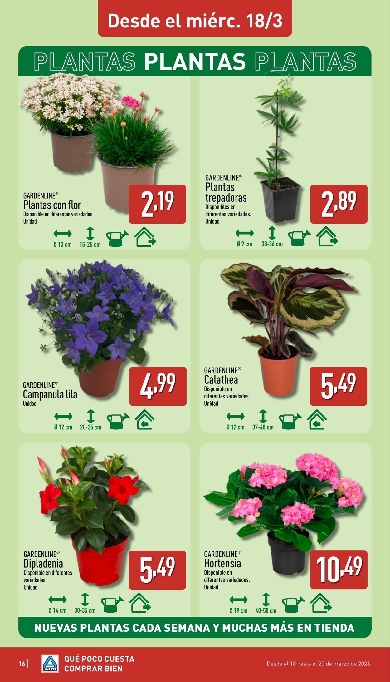 Folleto Aldi 16.03.2026 - 22.03.2026