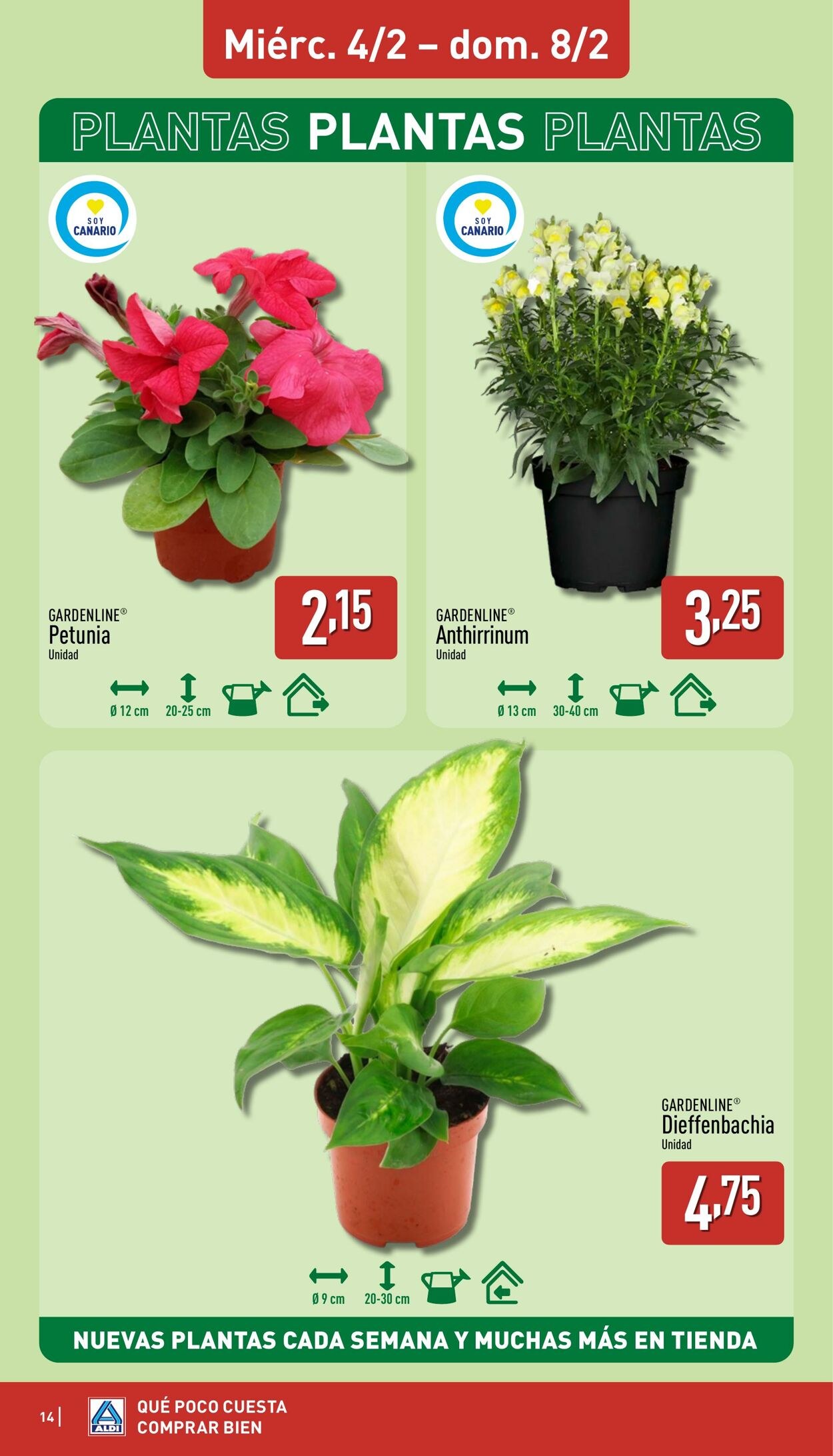 Folleto Aldi 02.02.2026 - 08.02.2026