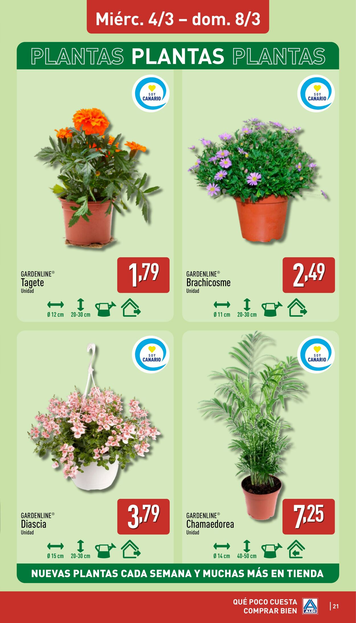 Folleto Aldi 02.03.2026 - 08.03.2026
