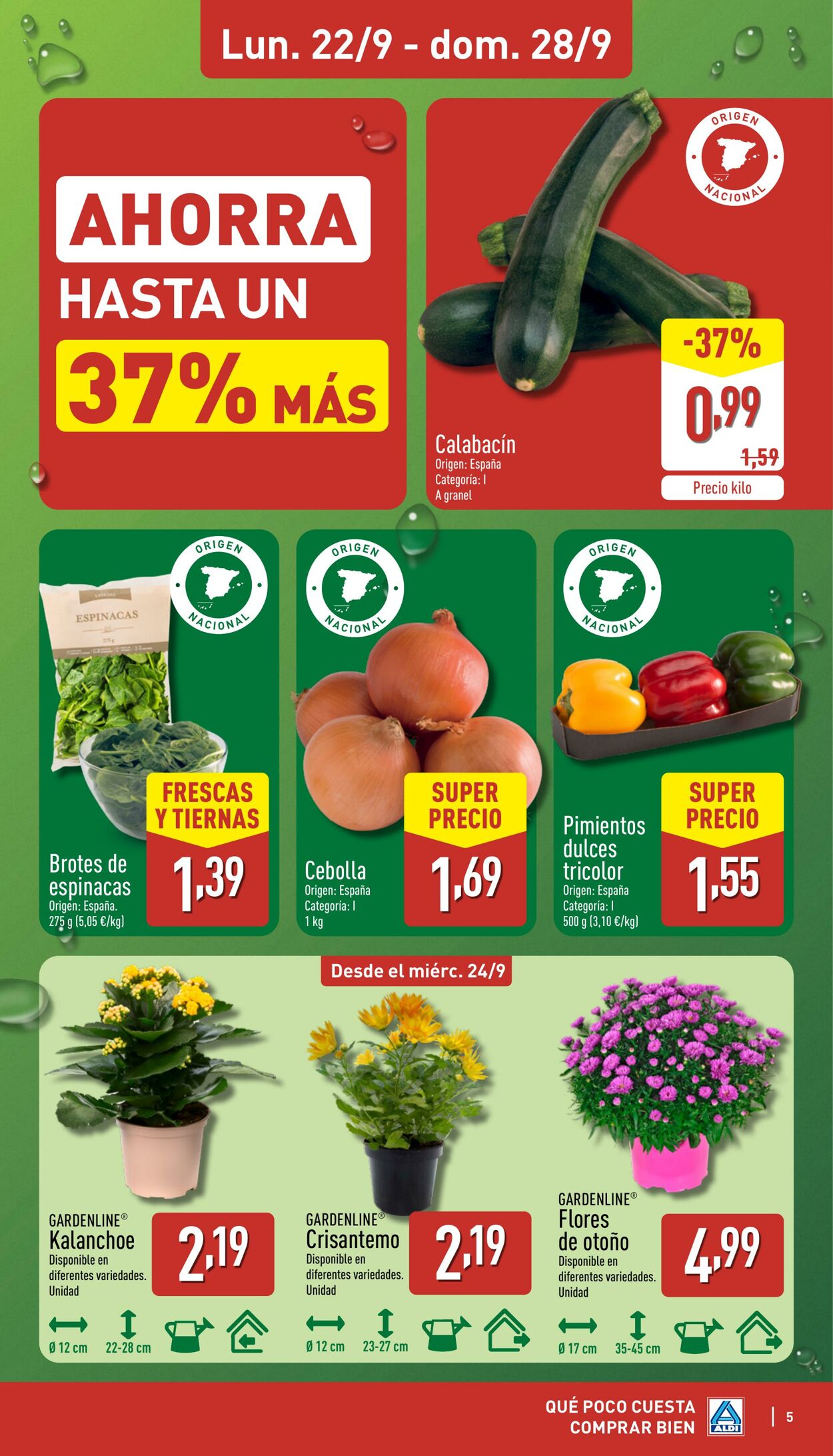 Folleto Aldi 22.09.2025 - 28.09.2025