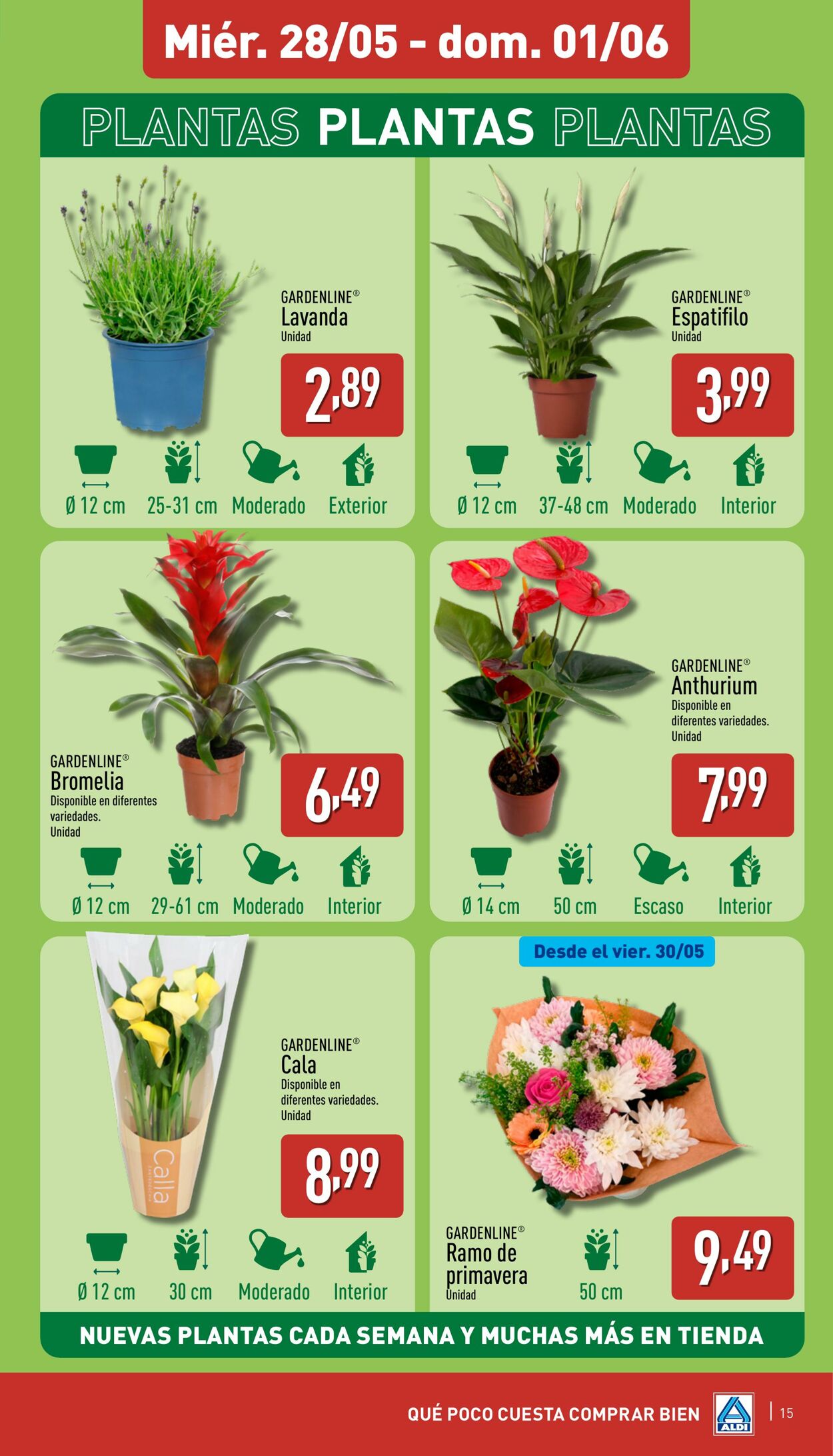 Folleto Aldi 26.05.2025 - 01.06.2025