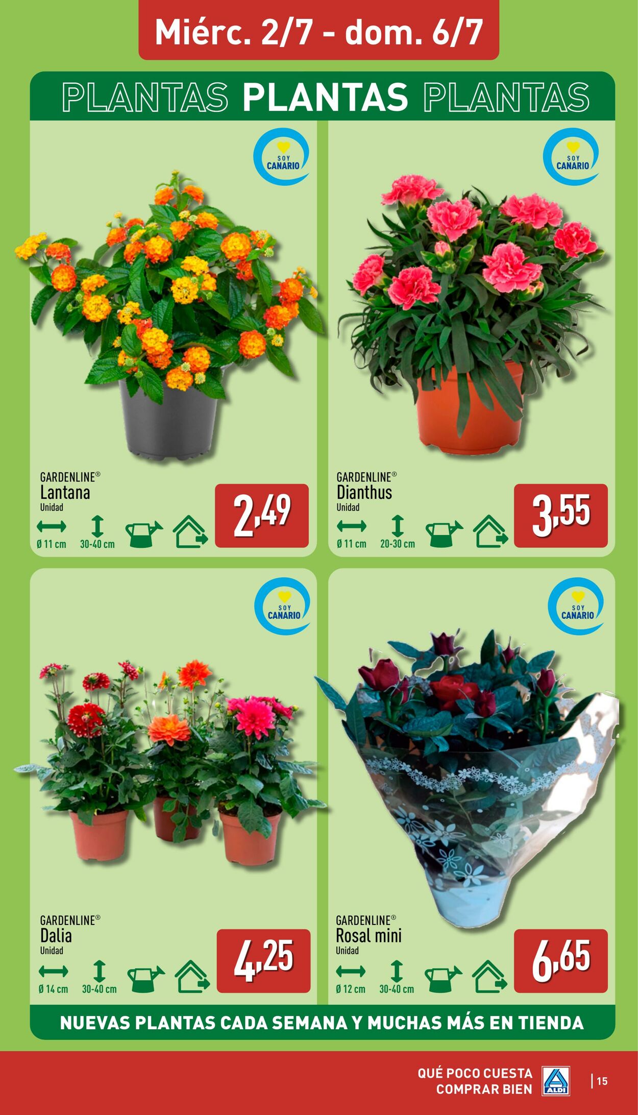 Folleto Aldi 30.06.2025 - 06.07.2025