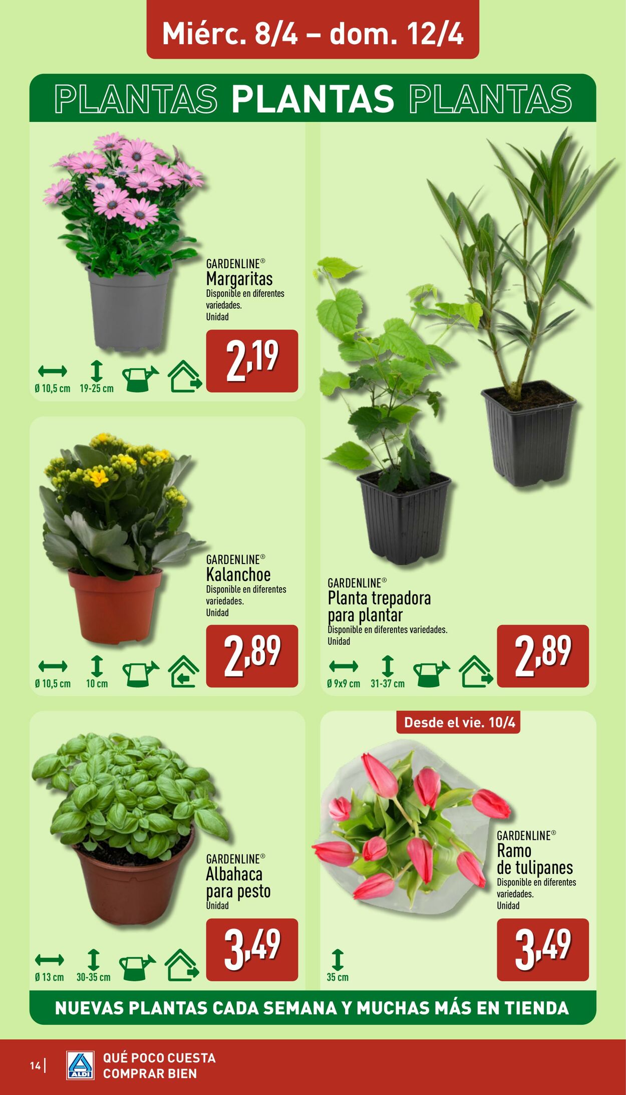 Folleto Aldi 06.04.2026 - 12.04.2026