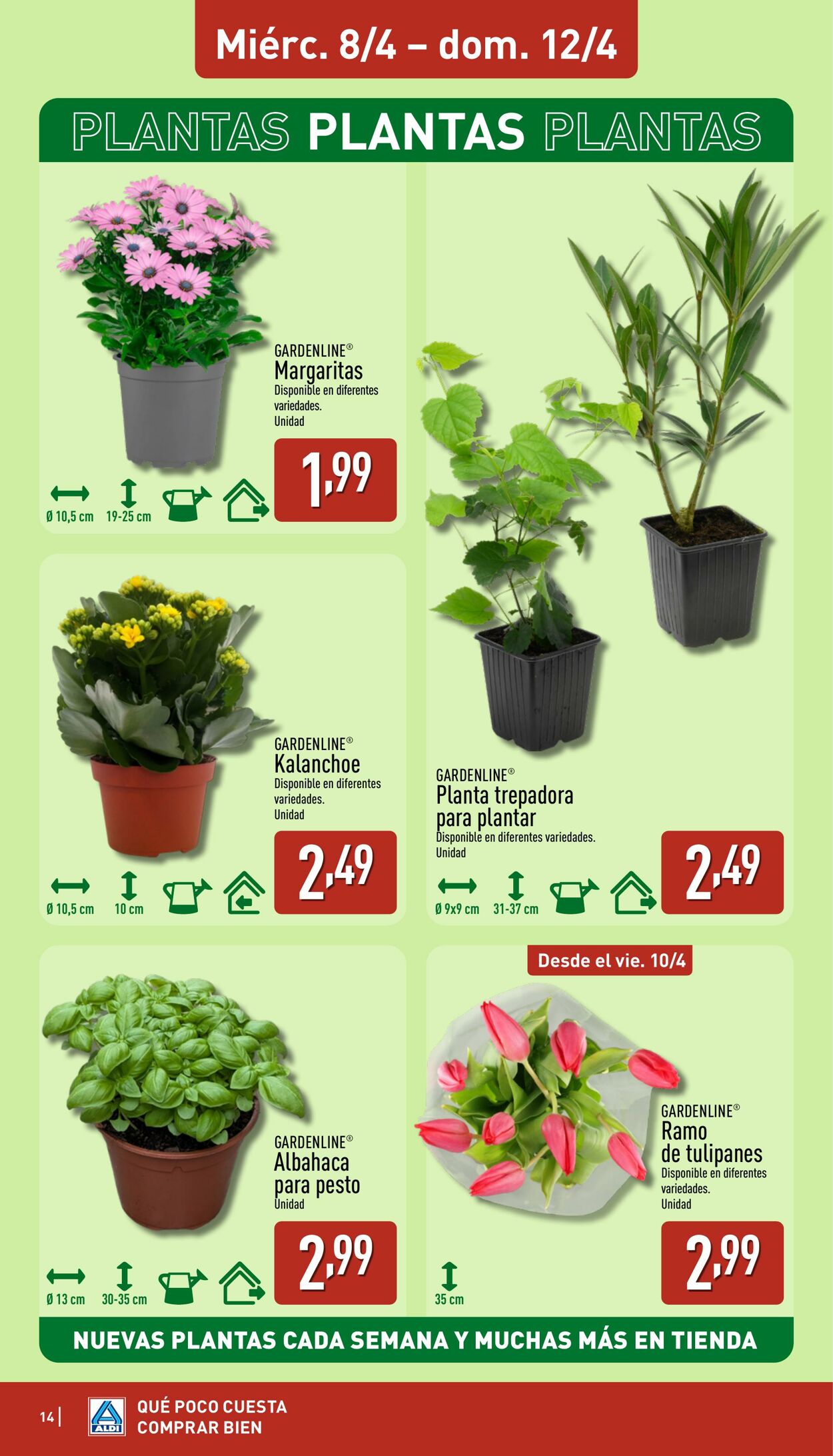 Folleto Aldi 06.04.2026 - 12.04.2026