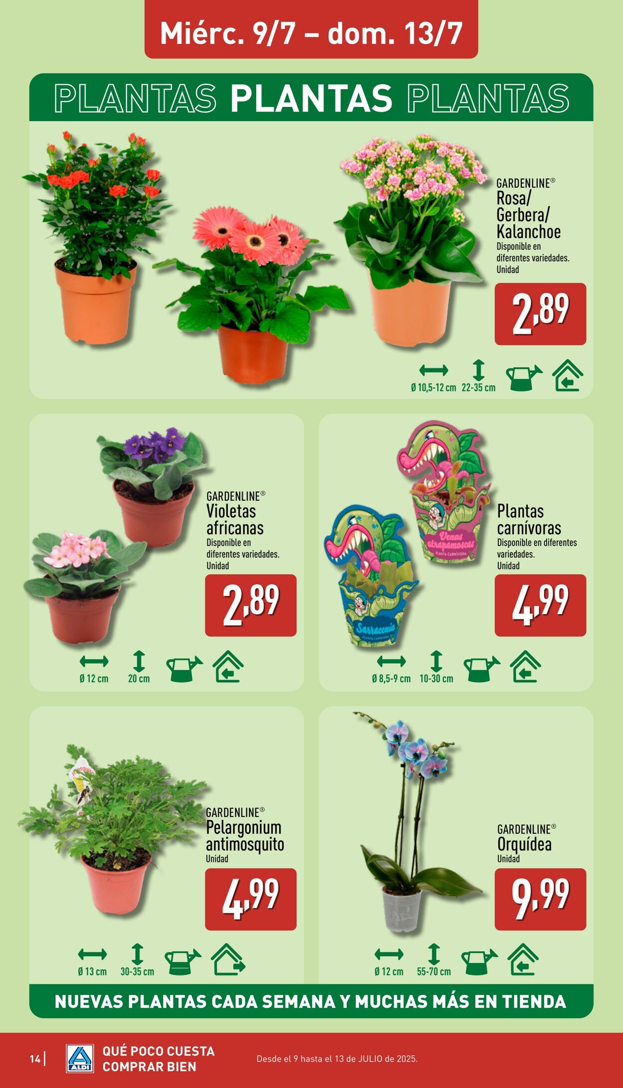 Folleto Aldi 07.07.2025 - 13.07.2025