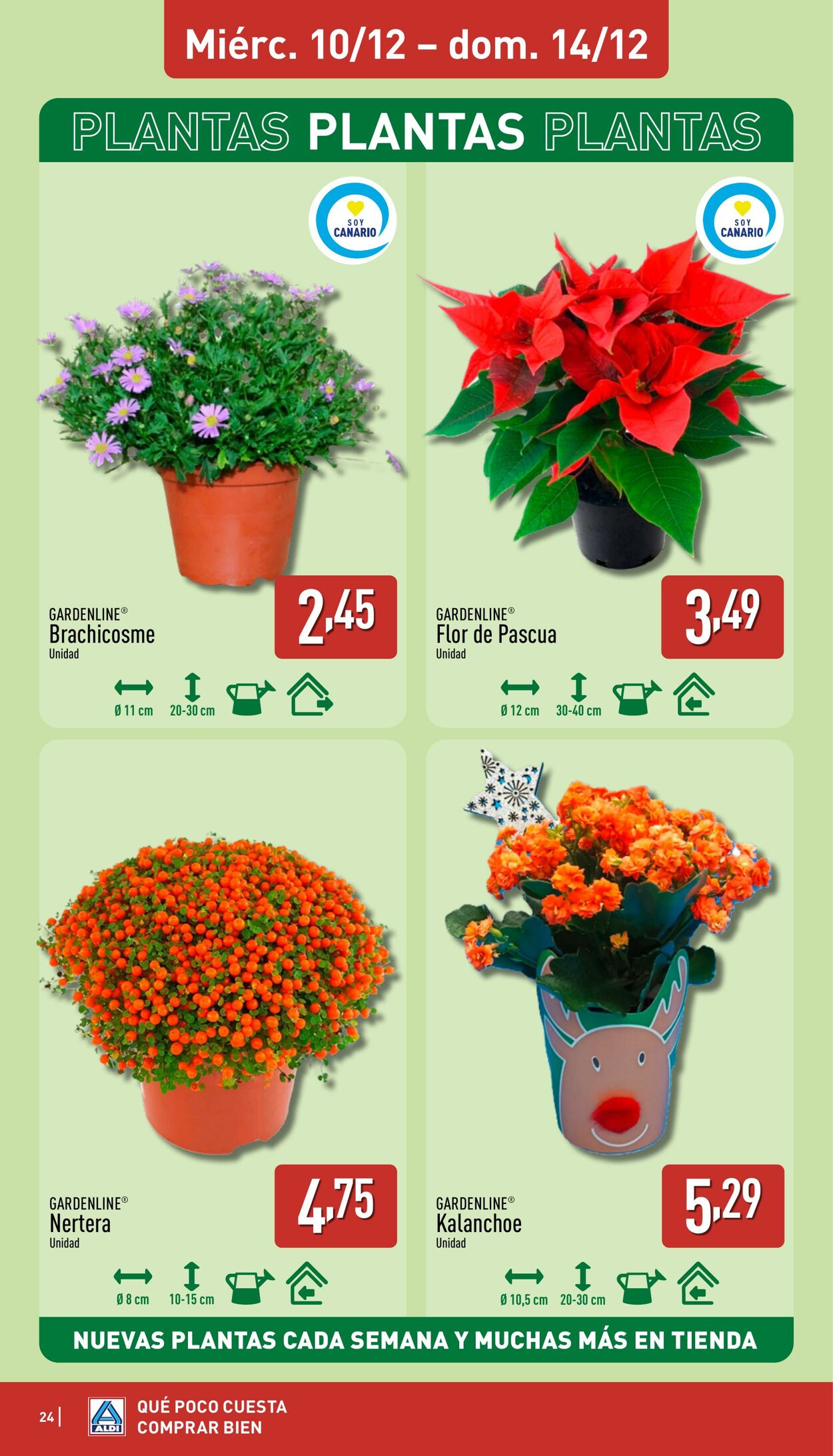 Folleto Aldi 08.12.2025 - 14.12.2025