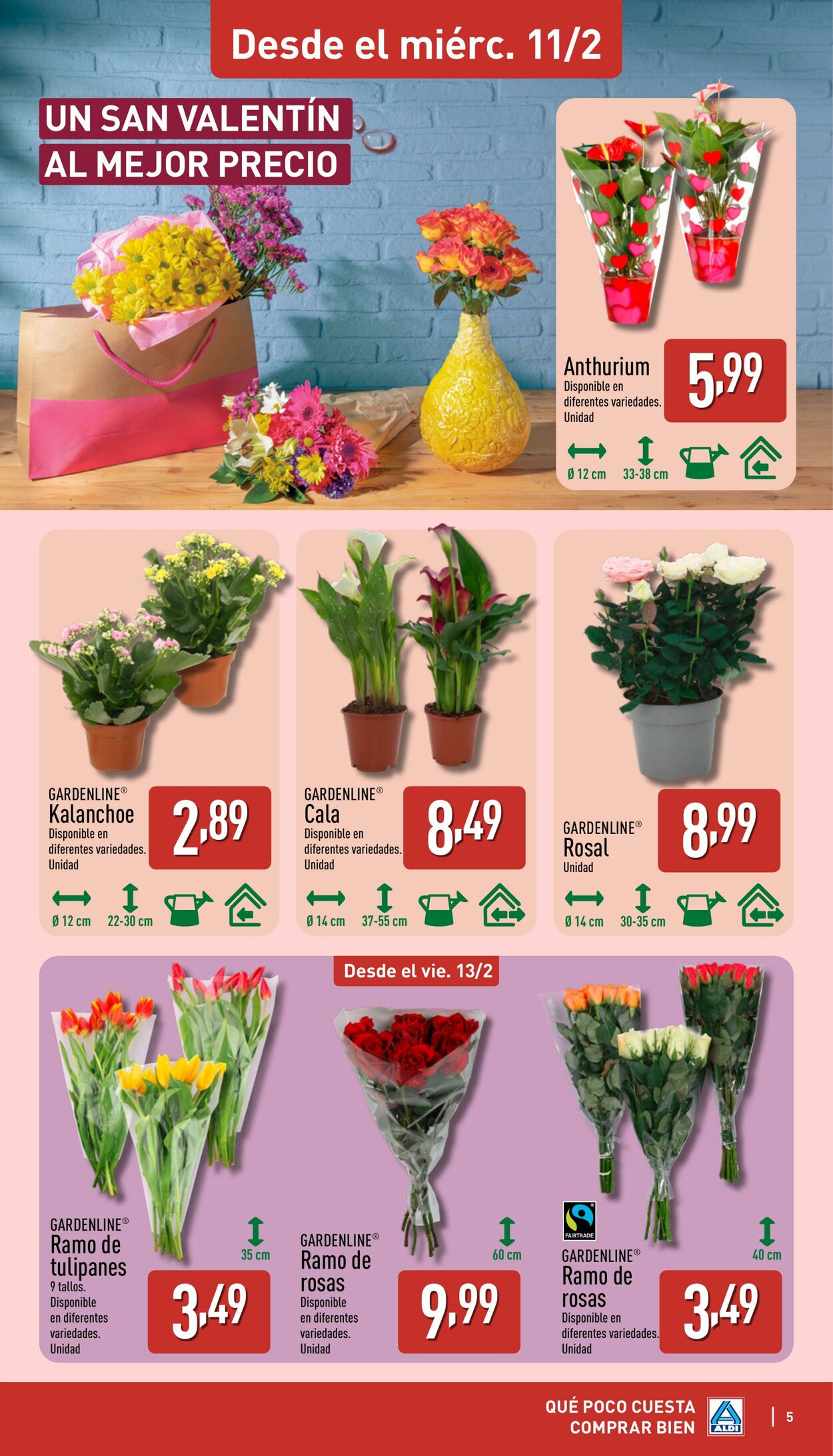 Folleto Aldi 09.02.2026 - 15.02.2026