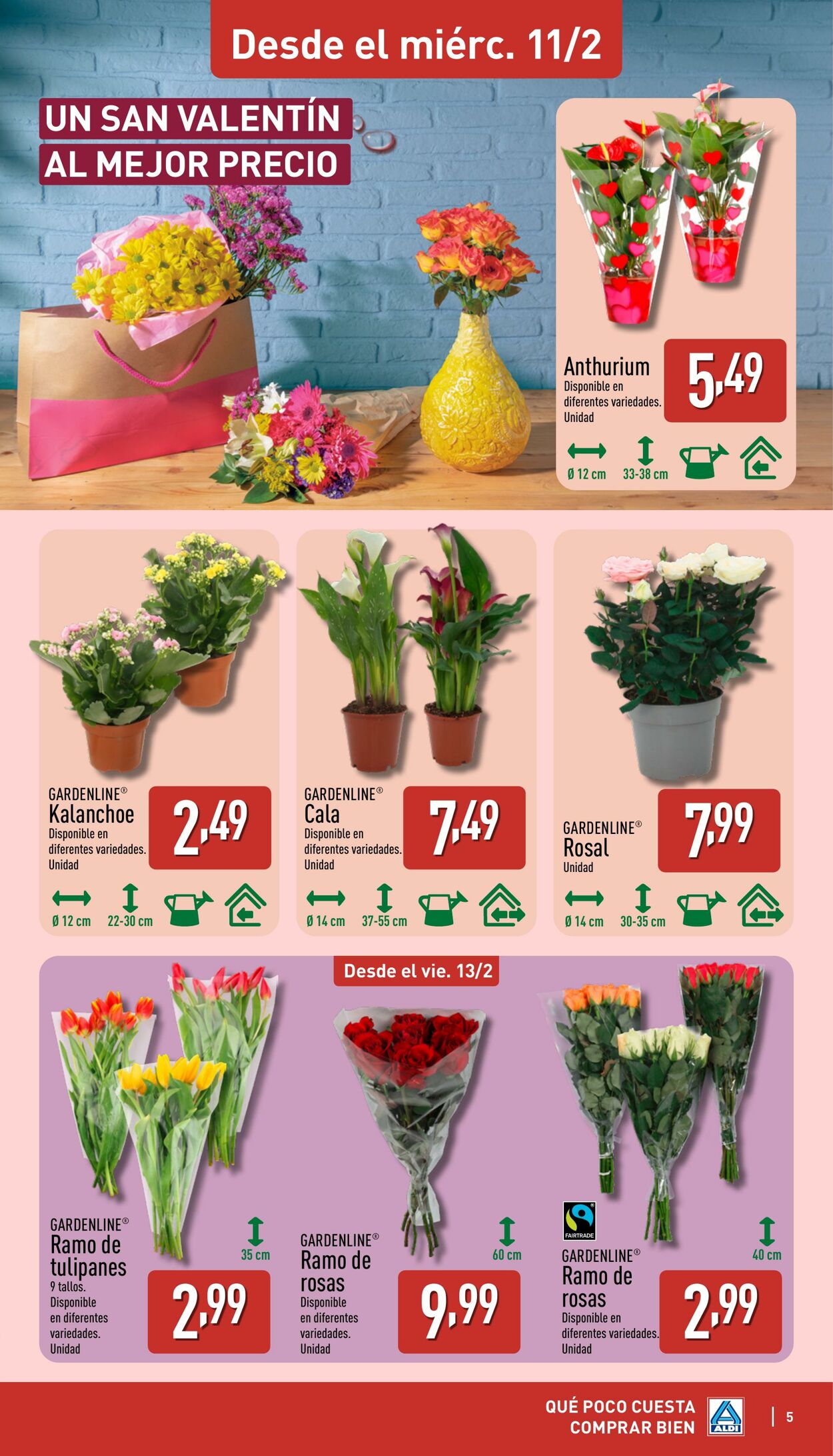 Folleto Aldi 09.02.2026 - 15.02.2026