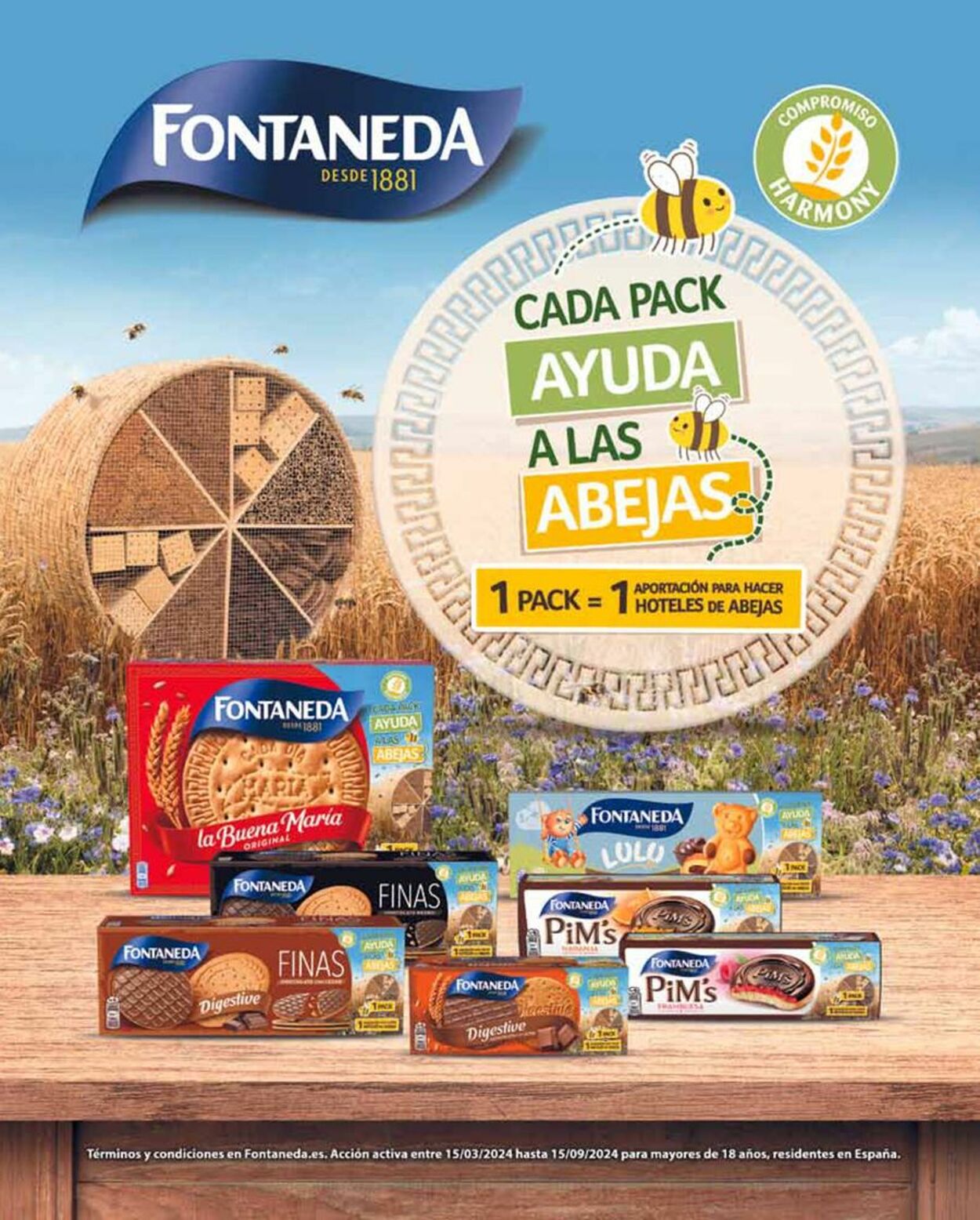 Folleto Carrefour 11.07.2024 - 25.07.2024