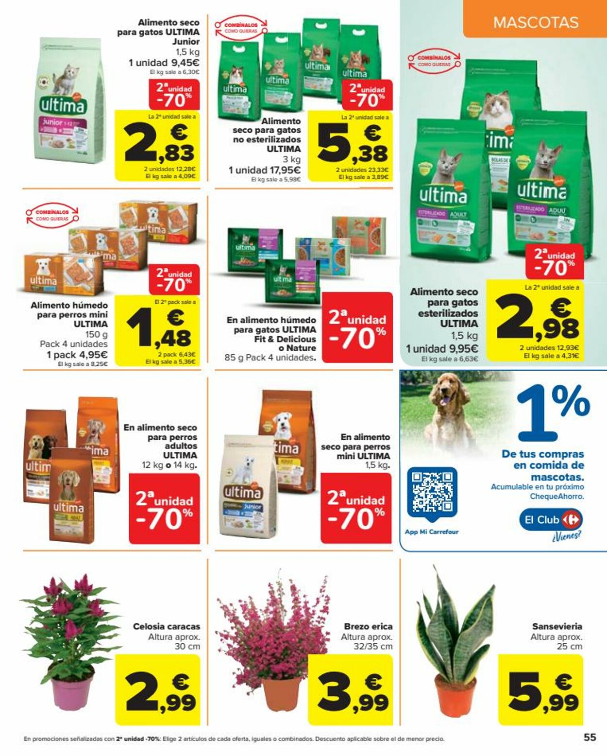 Folleto Carrefour 14.10.2022 - 26.10.2022