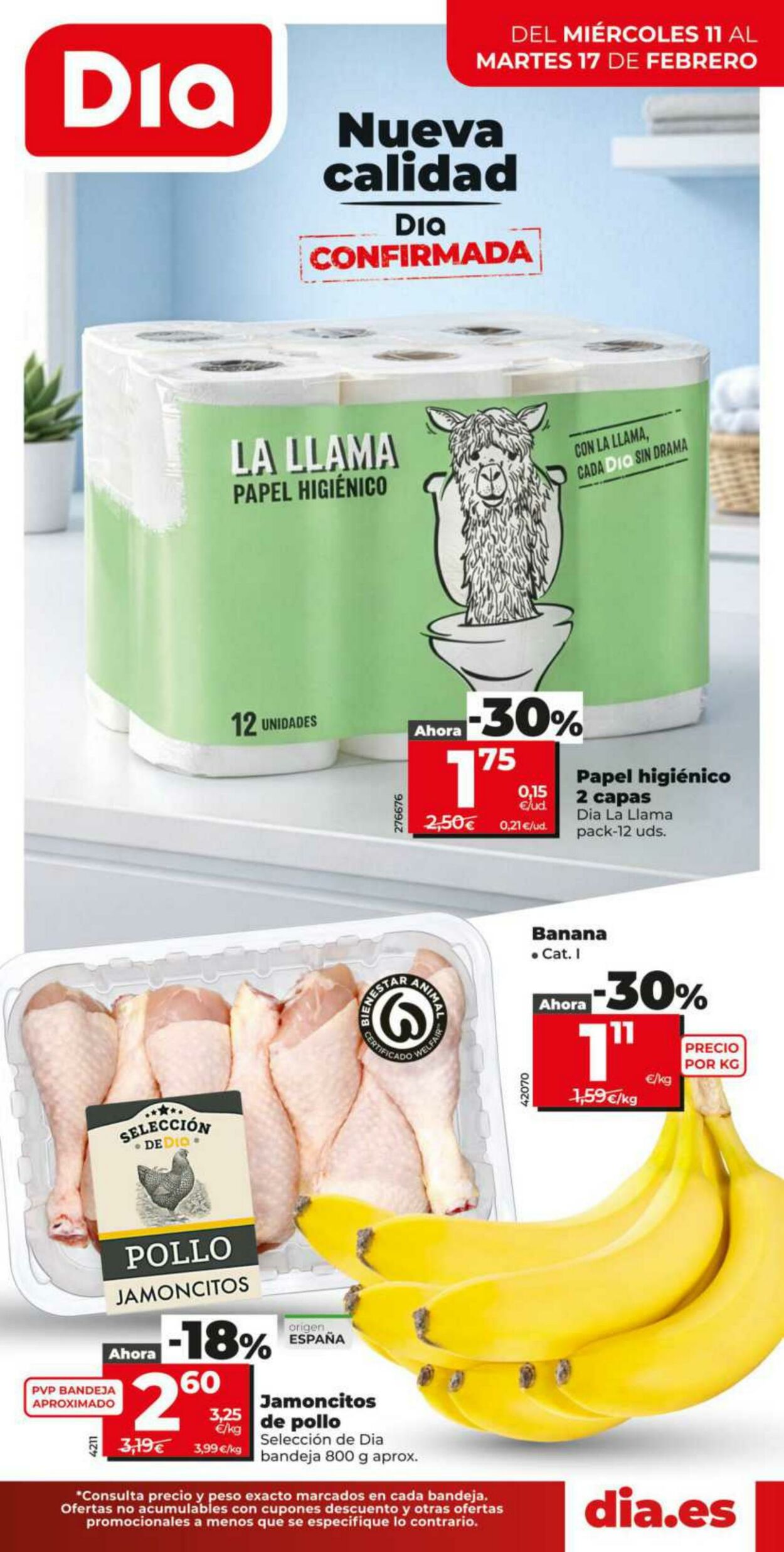 Folleto Dia 11.02.2026 - 17.02.2026