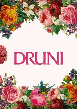 Folleto Druni 01.12.2025 - 10.12.2025