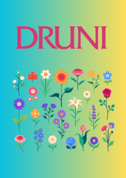 Folleto Druni 14.07.2025 - 23.07.2025