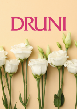 Folleto Druni 11.08.2025 - 20.08.2025