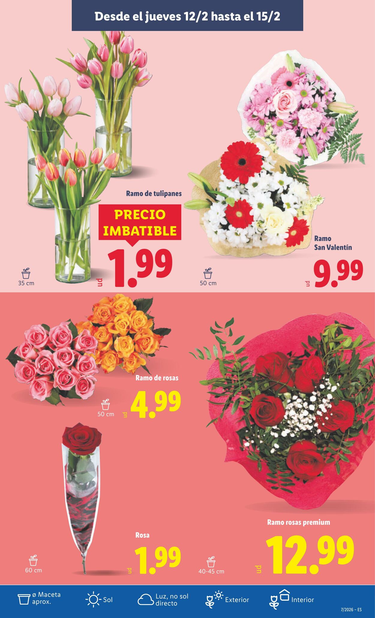 Folleto Lidl 09.02.2026 - 15.02.2026