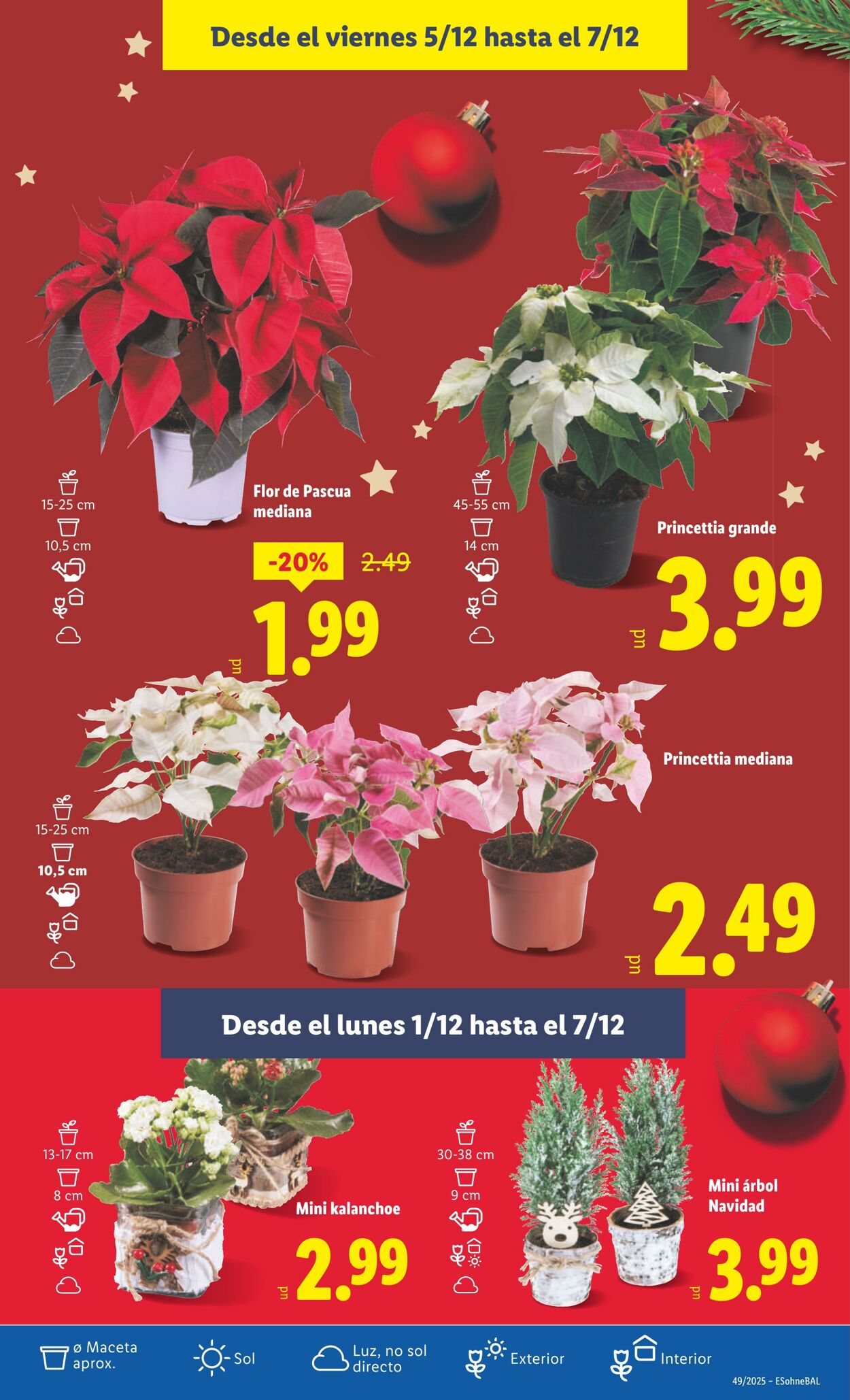 Folleto Lidl 01.12.2025 - 07.12.2025