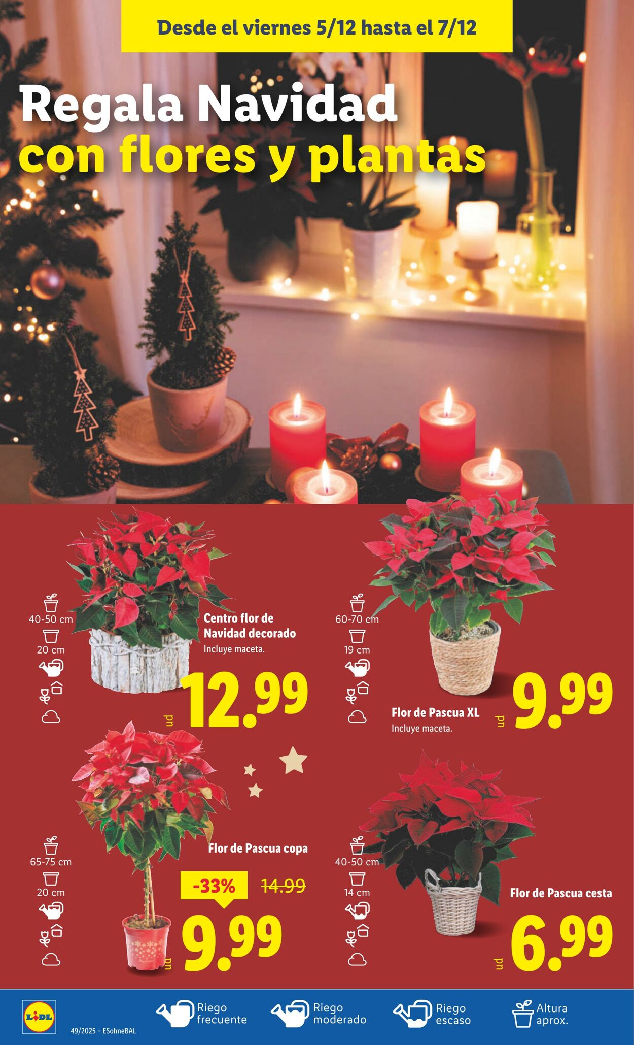 Folleto Lidl 01.12.2025 - 07.12.2025
