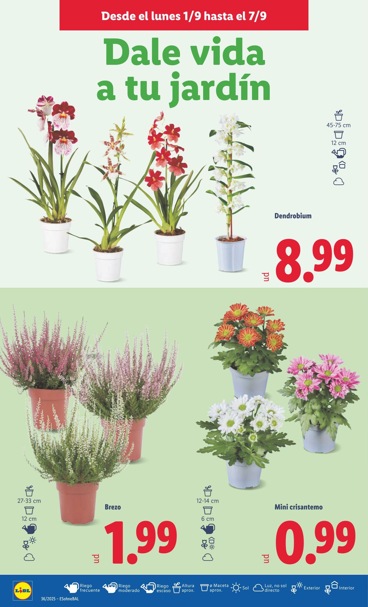 Folleto Lidl 01.09.2025 - 07.09.2025