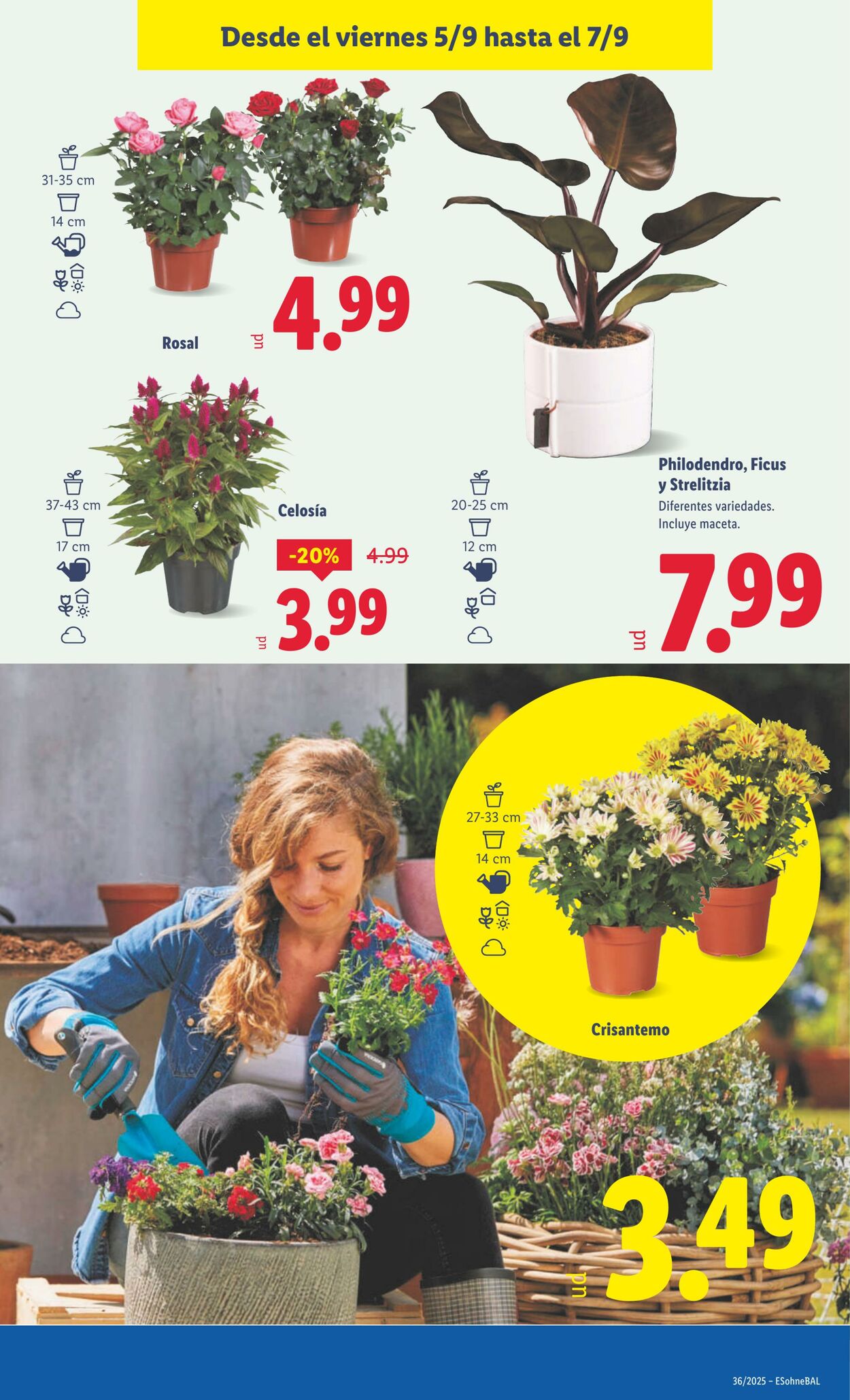 Folleto Lidl 01.09.2025 - 07.09.2025