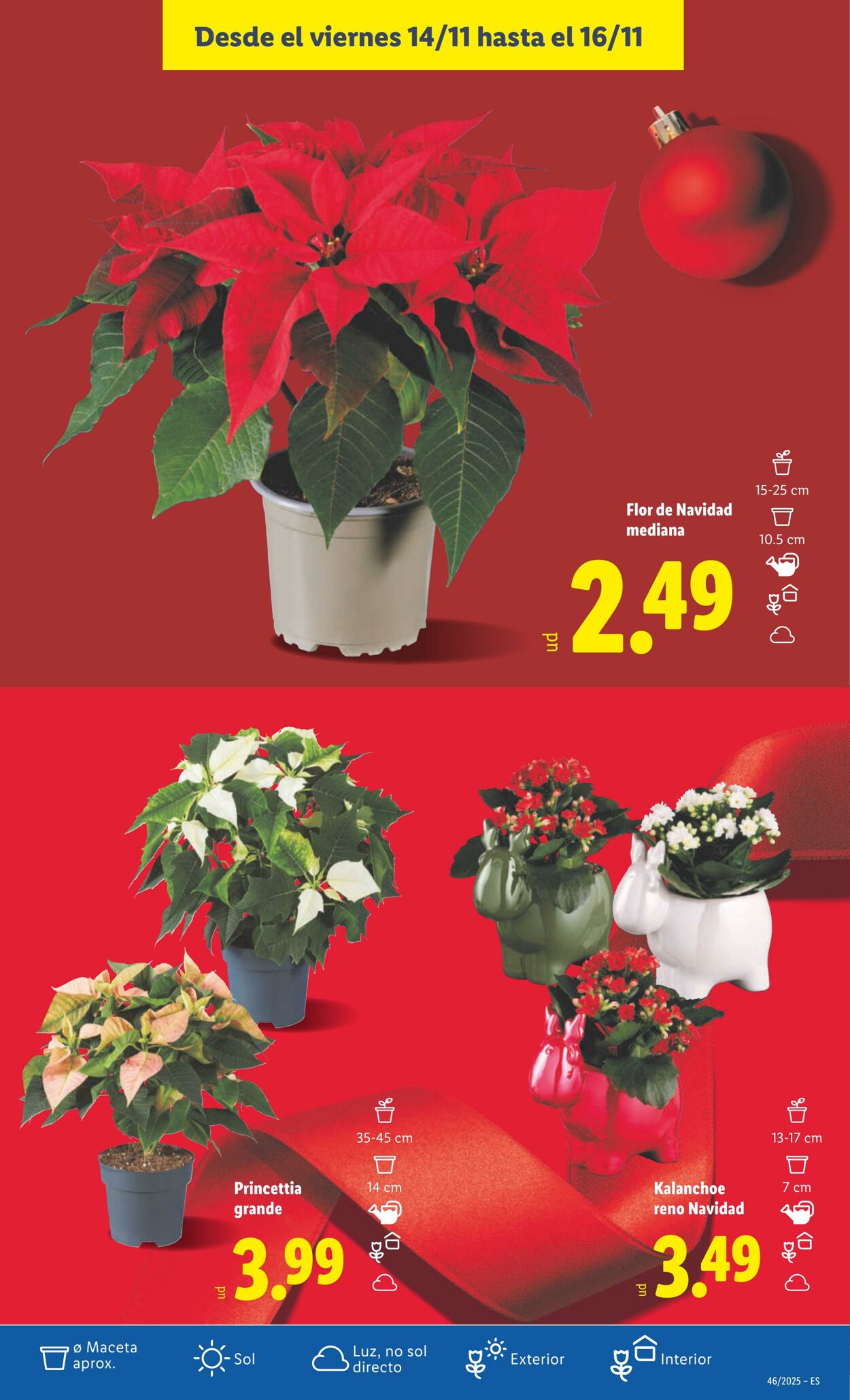 Folleto Lidl 10.11.2025 - 16.11.2025