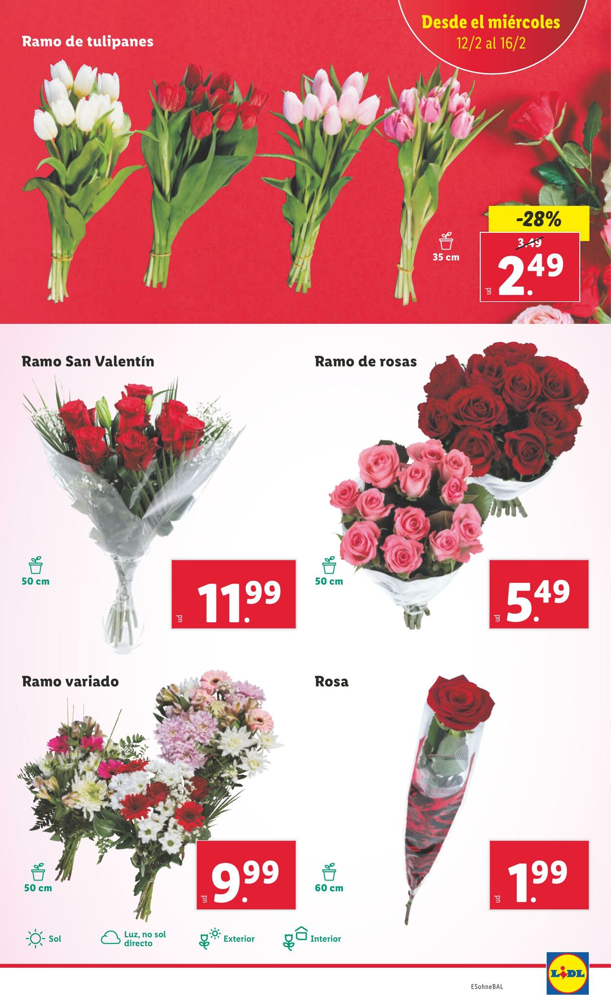 Folleto Lidl 10.02.2025 - 16.02.2025