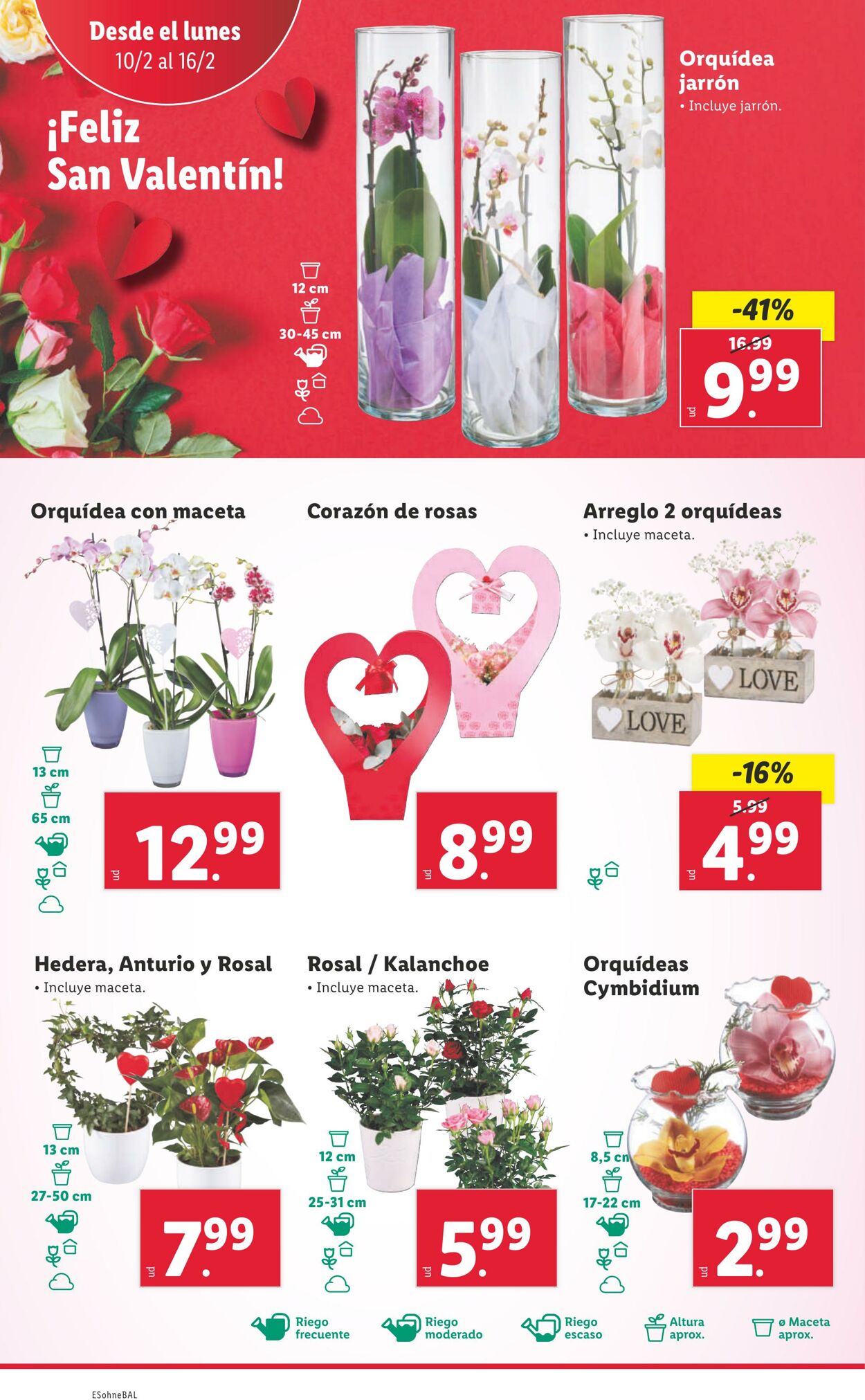 Folleto Lidl 10.02.2025 - 16.02.2025