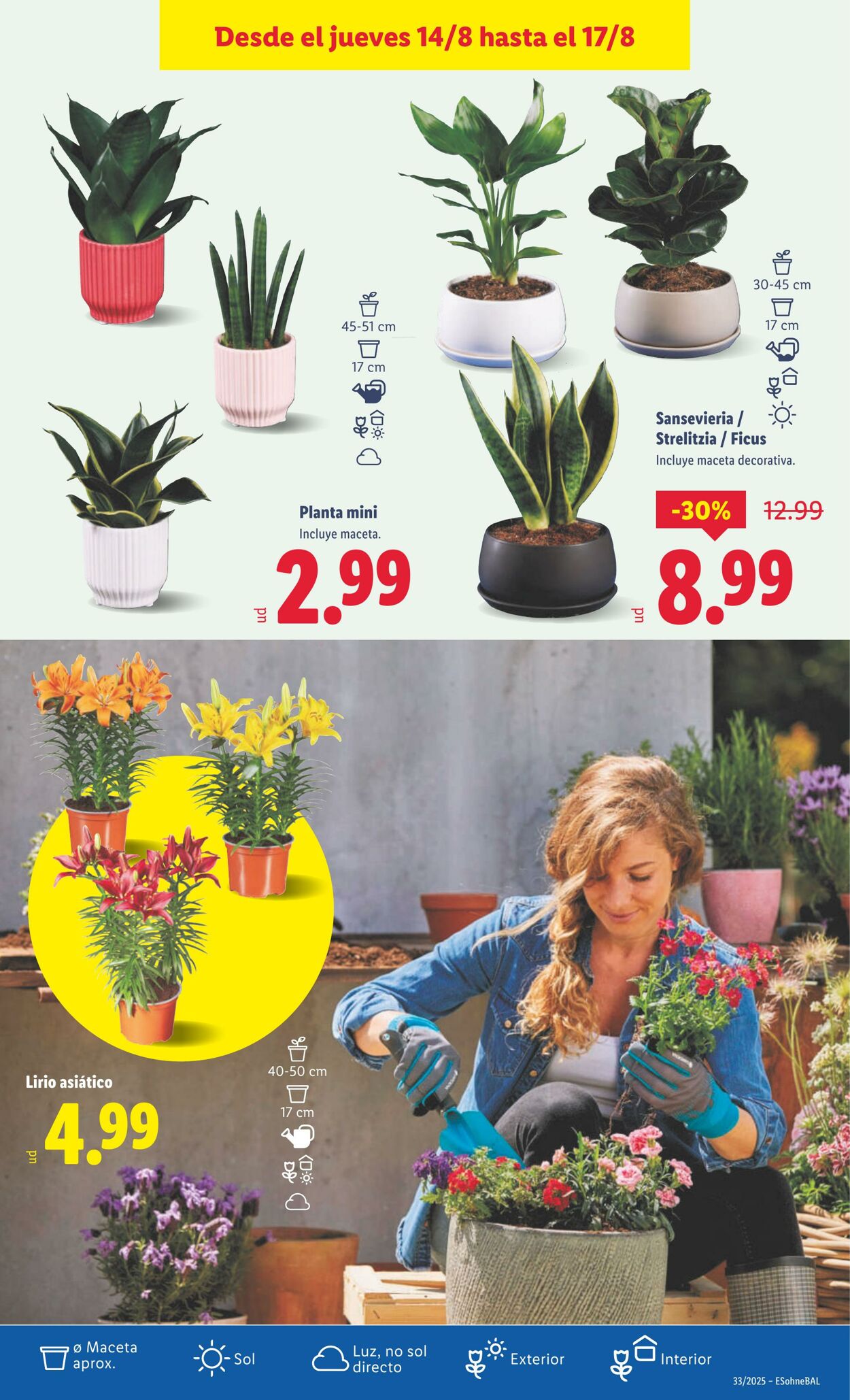 Folleto Lidl 11.08.2025 - 17.08.2025