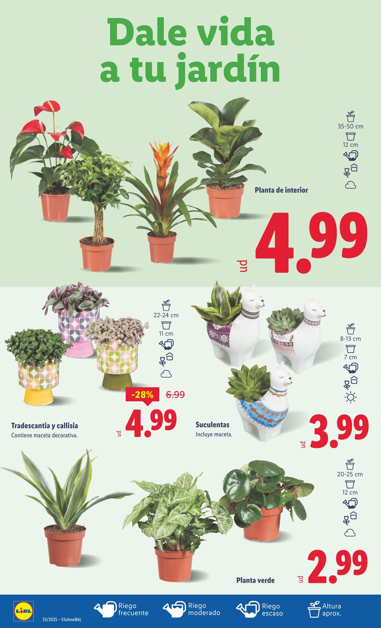 Folleto Lidl 11.08.2025 - 17.08.2025