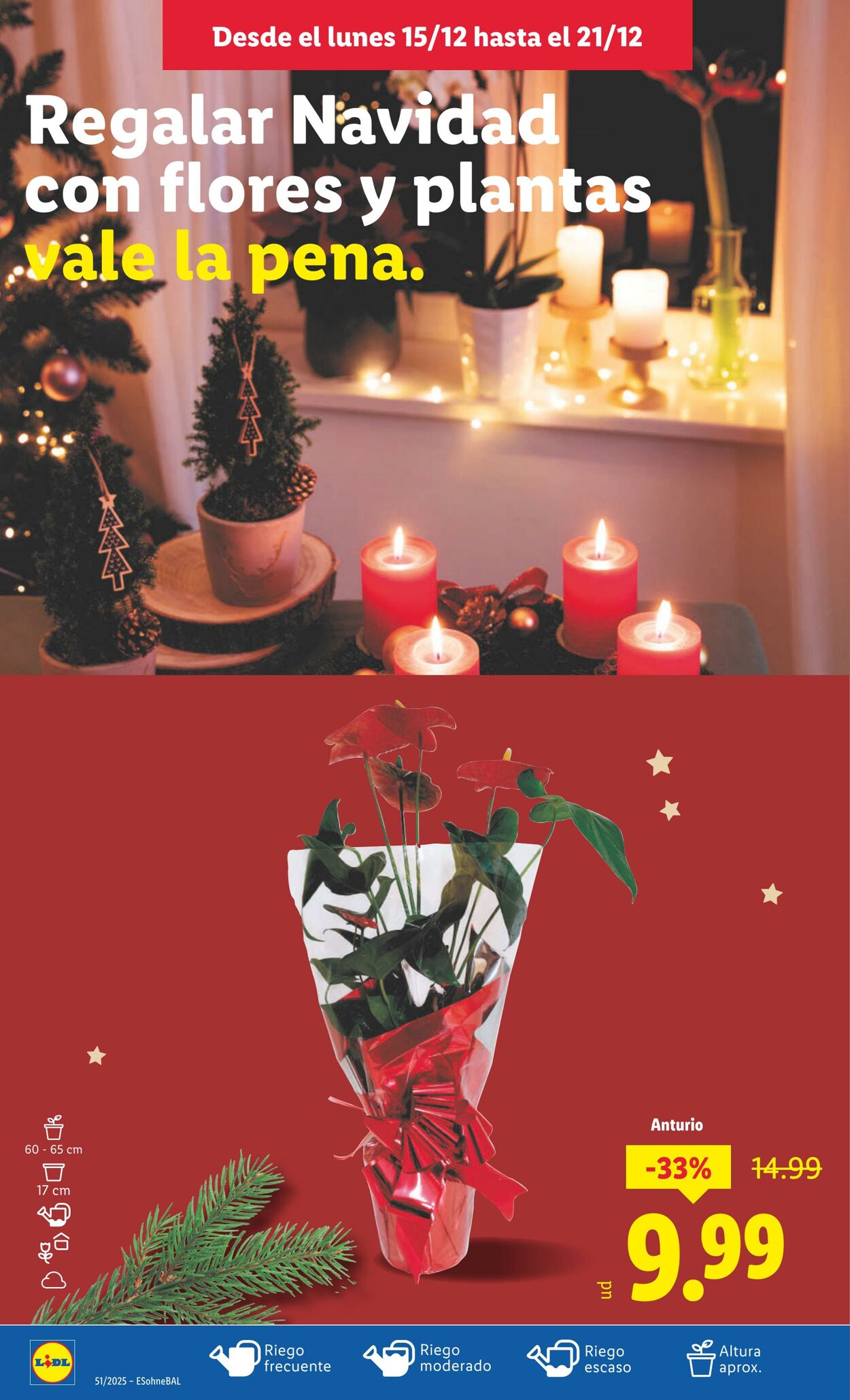 Folleto Lidl 15.12.2025 - 21.12.2025