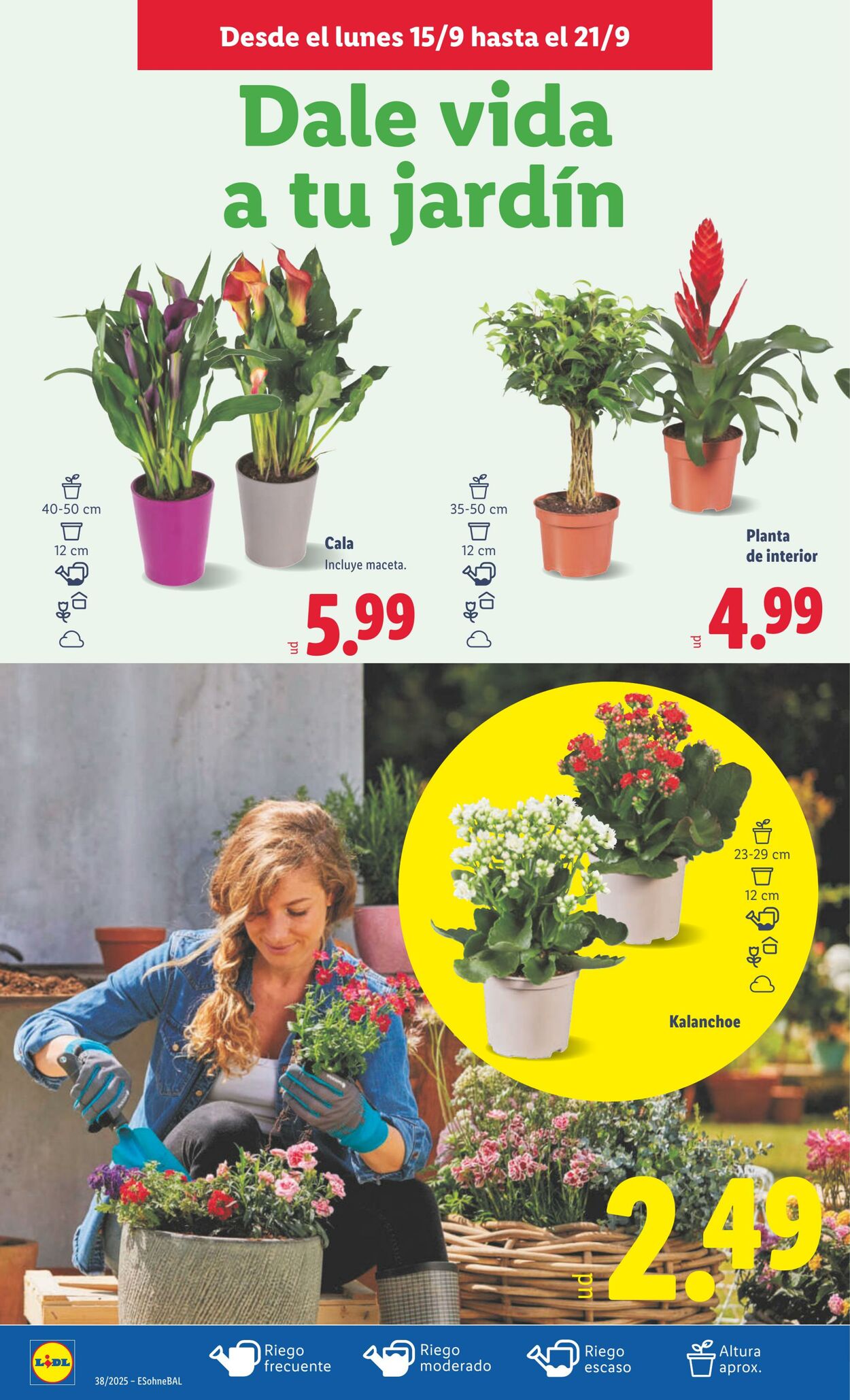 Folleto Lidl 15.09.2025 - 21.09.2025