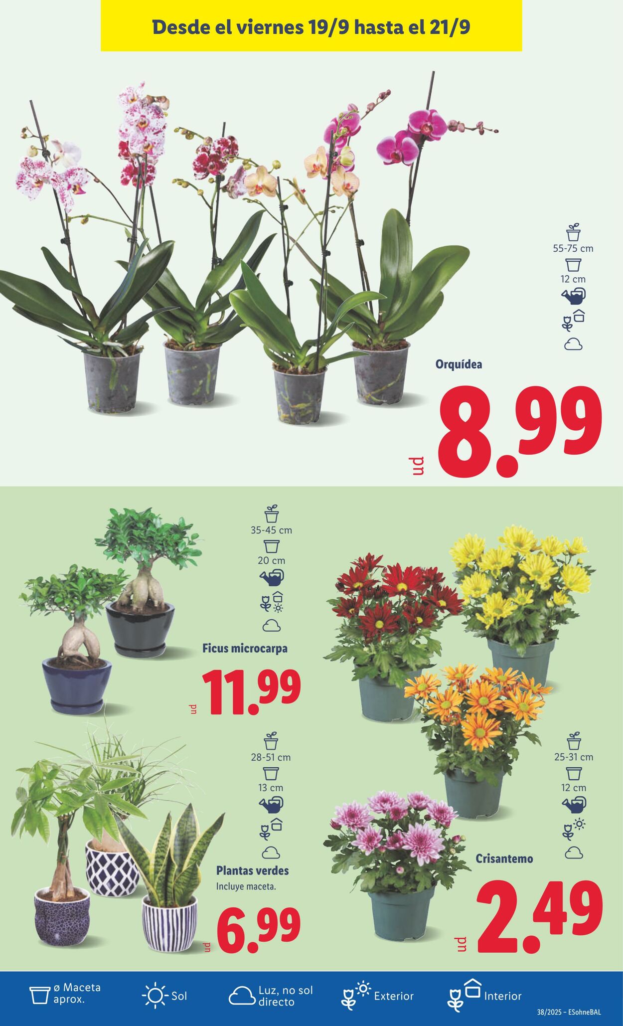 Folleto Lidl 15.09.2025 - 21.09.2025