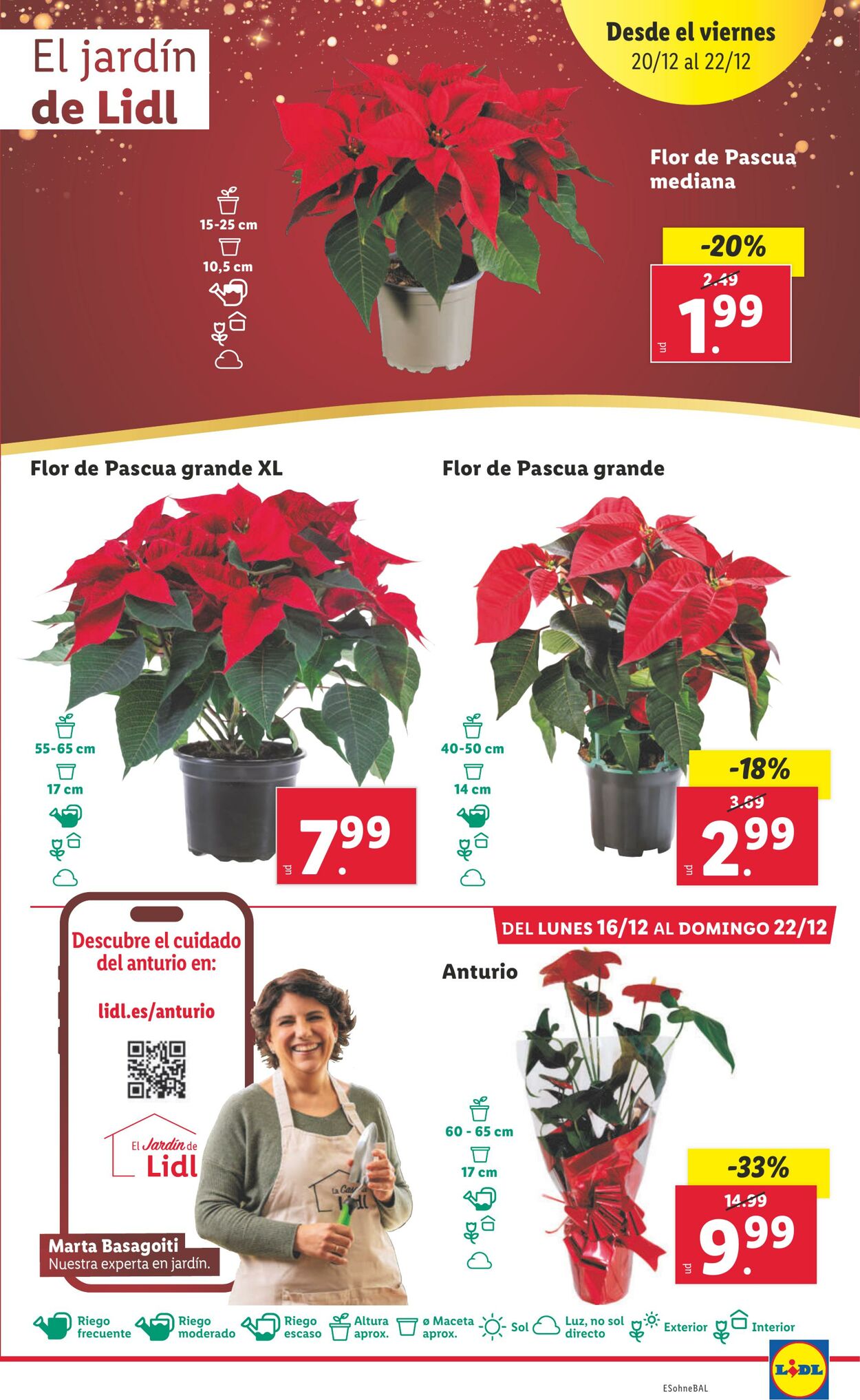 Folleto Lidl 16.12.2024 - 22.12.2024