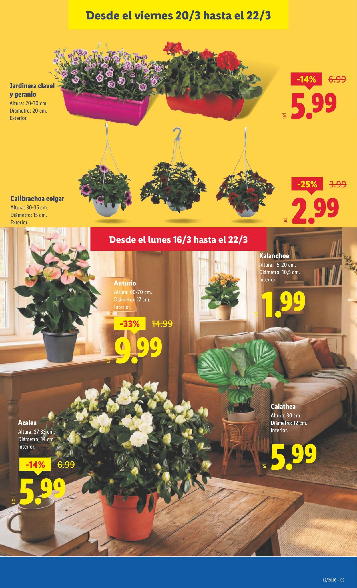 Folleto Lidl 16.03.2026 - 22.03.2026