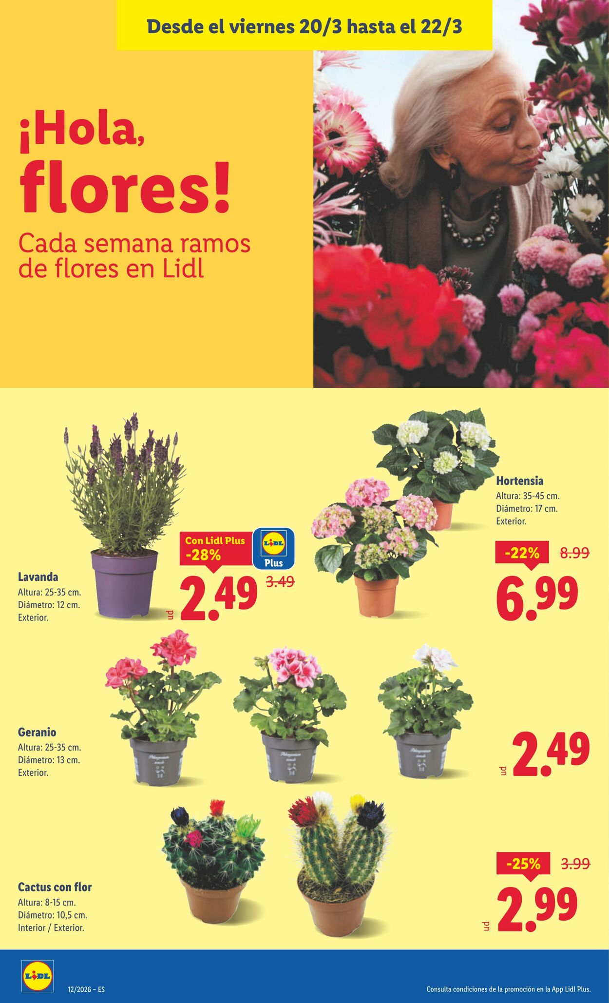 Folleto Lidl 16.03.2026 - 22.03.2026