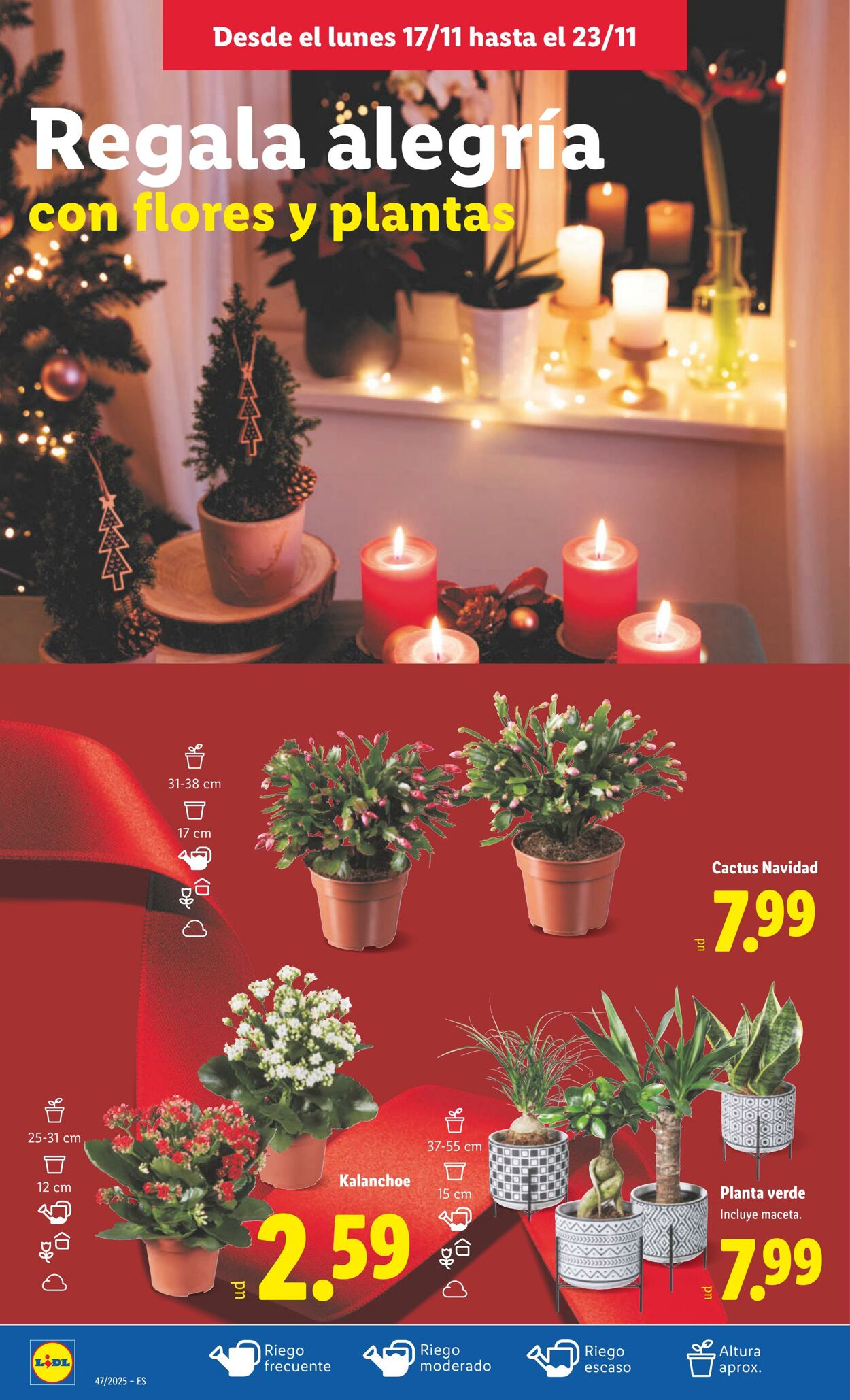 Folleto Lidl 17.11.2025 - 23.11.2025