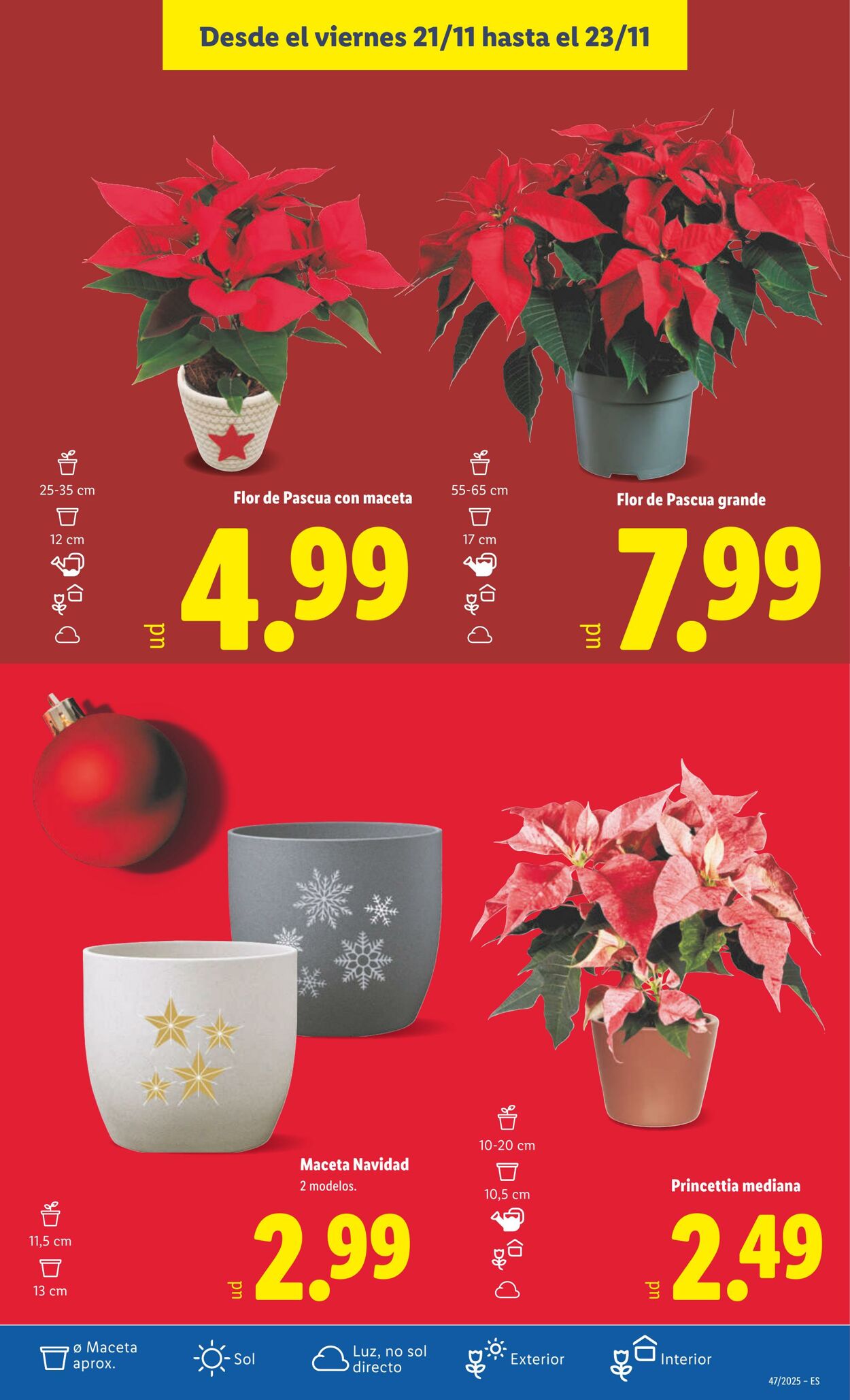 Folleto Lidl 17.11.2025 - 23.11.2025