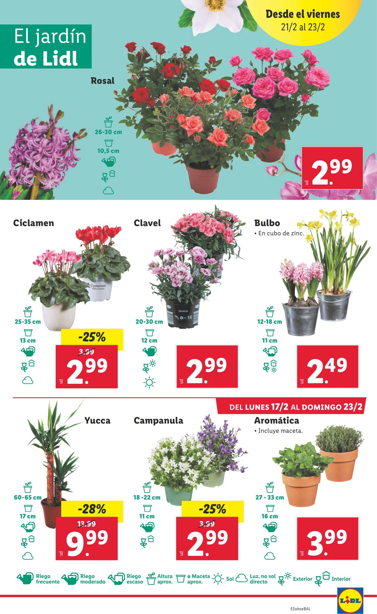 Folleto Lidl 17.02.2025 - 23.02.2025