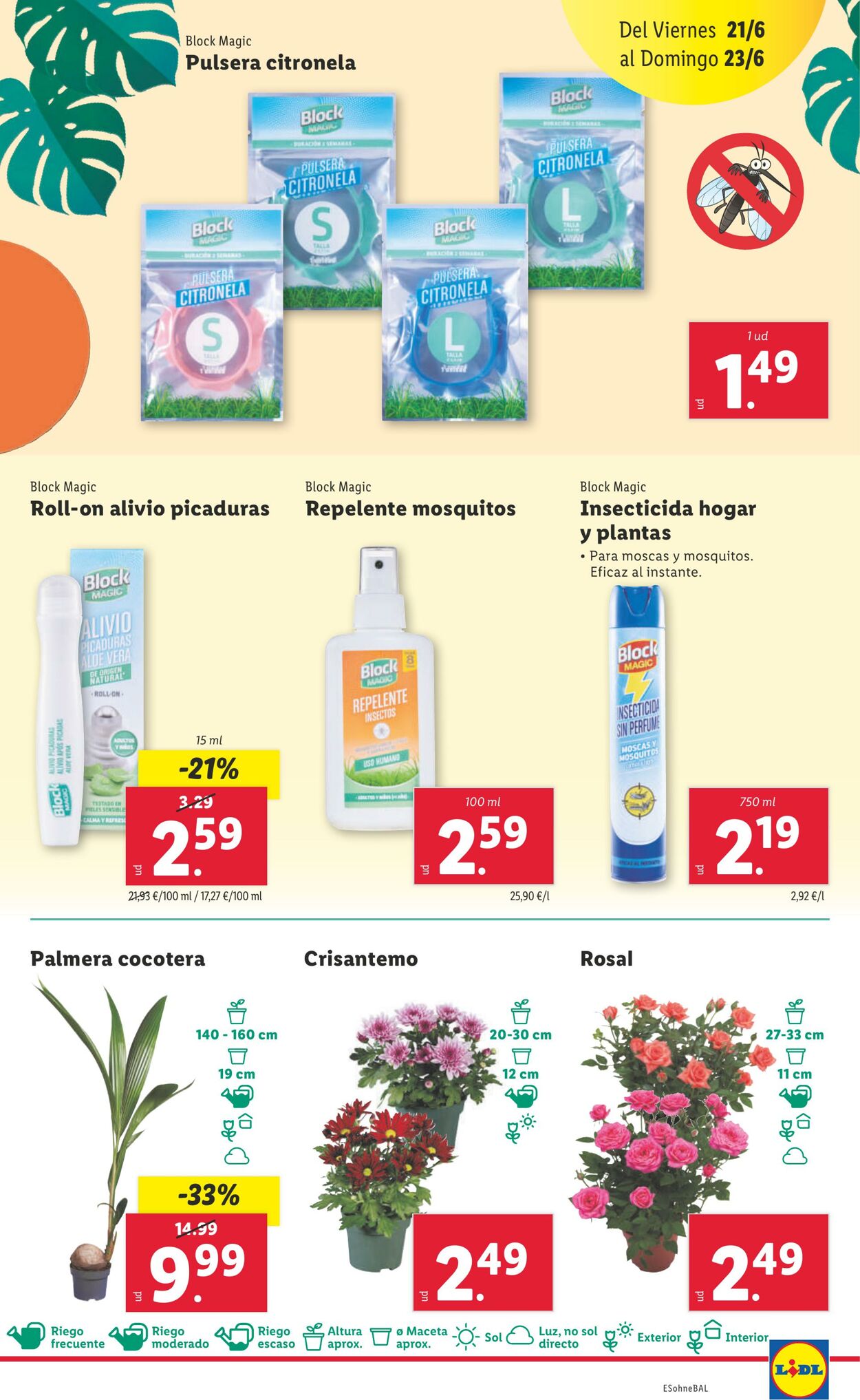 Folleto Lidl 17.06.2024 - 23.06.2024