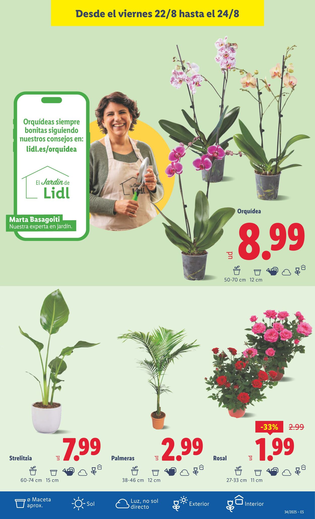 Folleto Lidl 18.08.2025 - 24.08.2025
