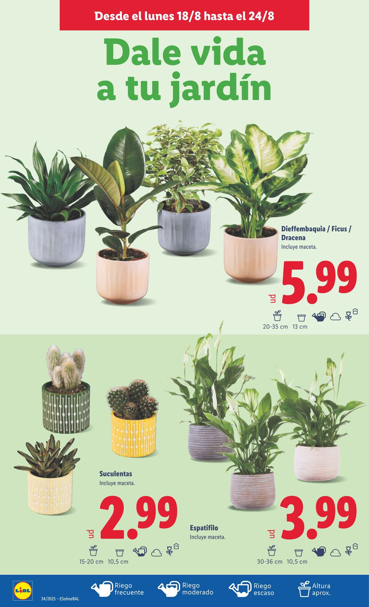 Folleto Lidl 18.08.2025 - 24.08.2025