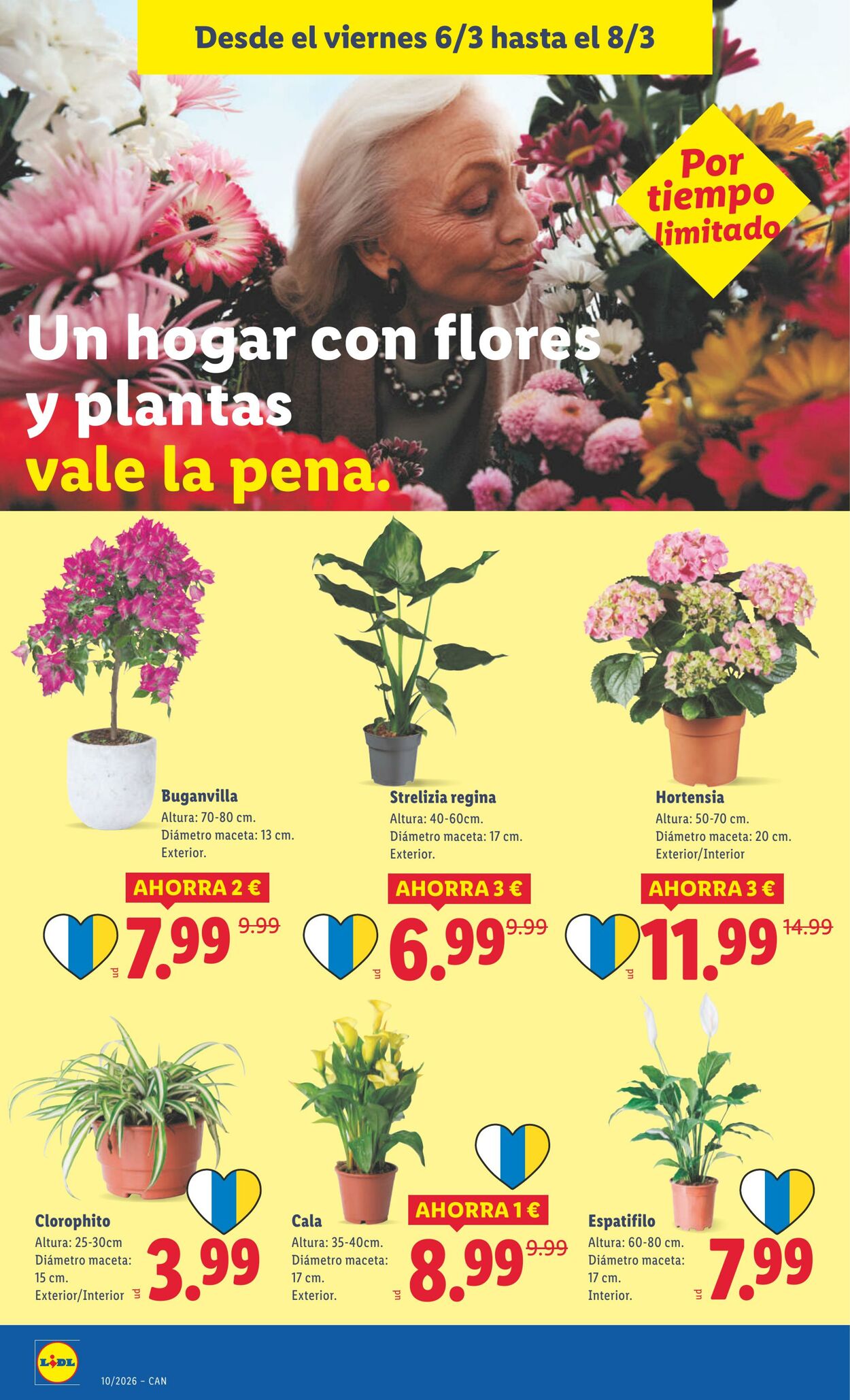 Folleto Lidl 02.03.2026 - 08.03.2026