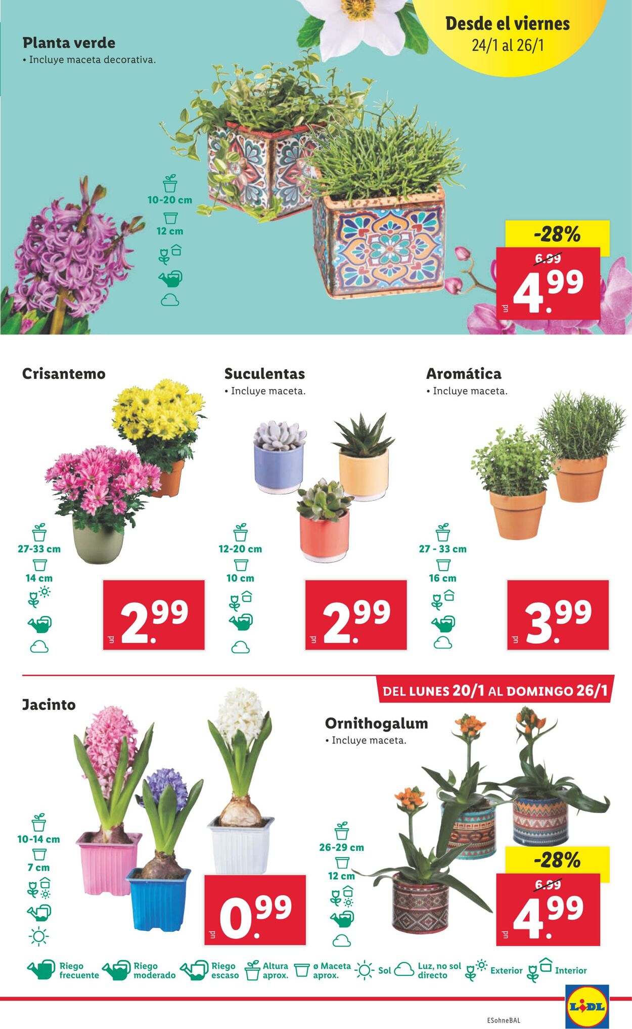 Folleto Lidl 20.01.2025 - 26.01.2025