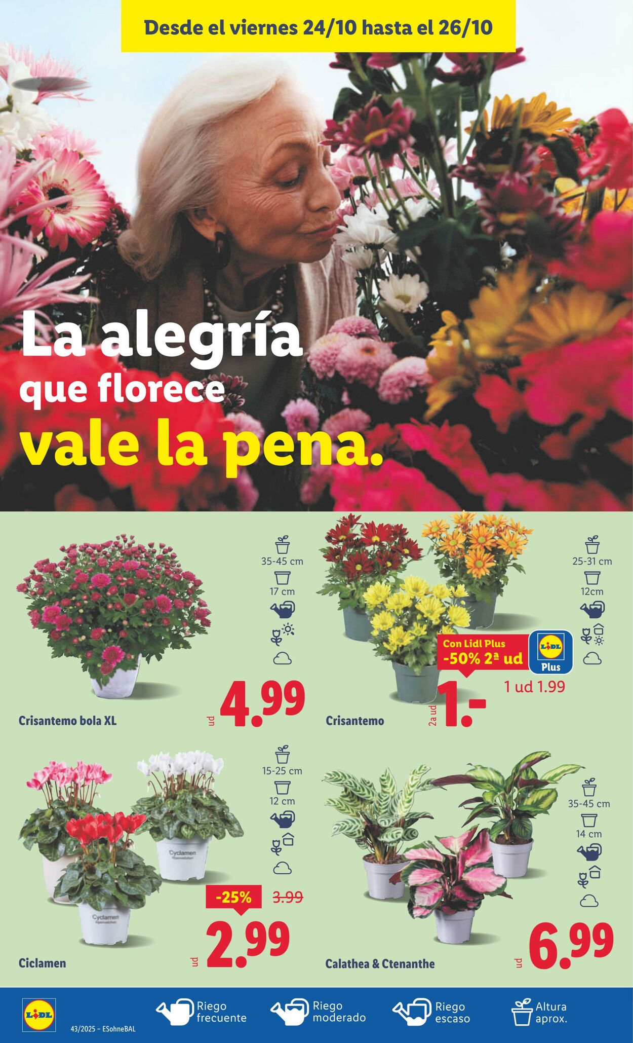 Folleto Lidl 20.10.2025 - 26.10.2025